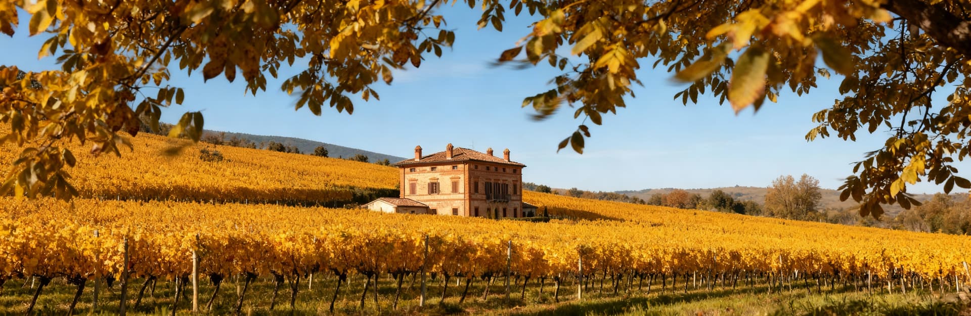 Casale storico nel Monferrato astigiano, circondato da vigneti dorati e sotto un cielo blu sereno.