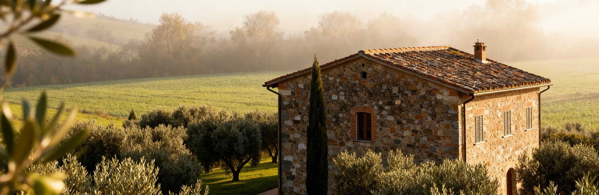 Aziende agricole in vendita a Lucca, agriturismo in pietra circondato da uliveti e campi verdi in leggera nebbia.