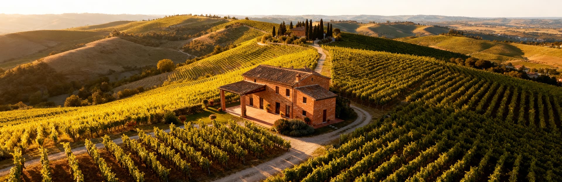Charming Tuscan farms for sale in Siena, surrounded by vineyards and picturesque villages, offer a unique investment opportunity.