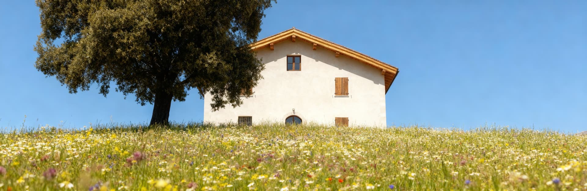 Charming rustic homes for sale in Alessandria's countryside, surrounded by hills, vineyards, and rich cultural heritage.
