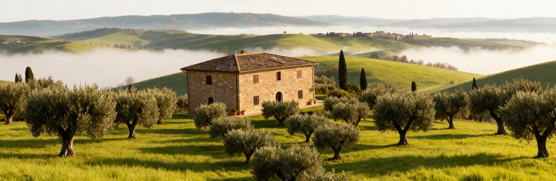 Casale in vendita a Versilia, circondato da uliveti e colline verdeggianti avvolte da una leggera nebbia mattutina.