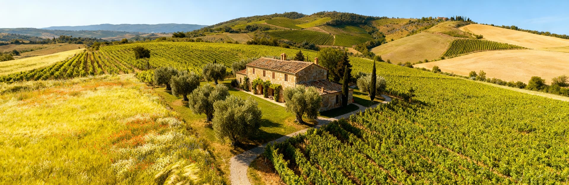 Agricultural estates for sale in Livorno's countryside, showcasing stunning landscapes and Tuscan architectural charm.