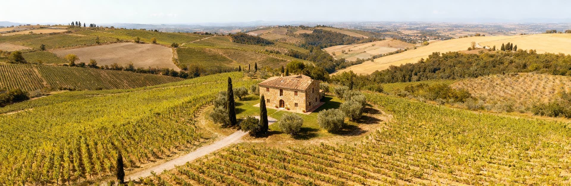 Charming Tuscan agriturismi for sale in Arezzo, surrounded by scenic hills, vineyards, and olive groves in a serene setting.