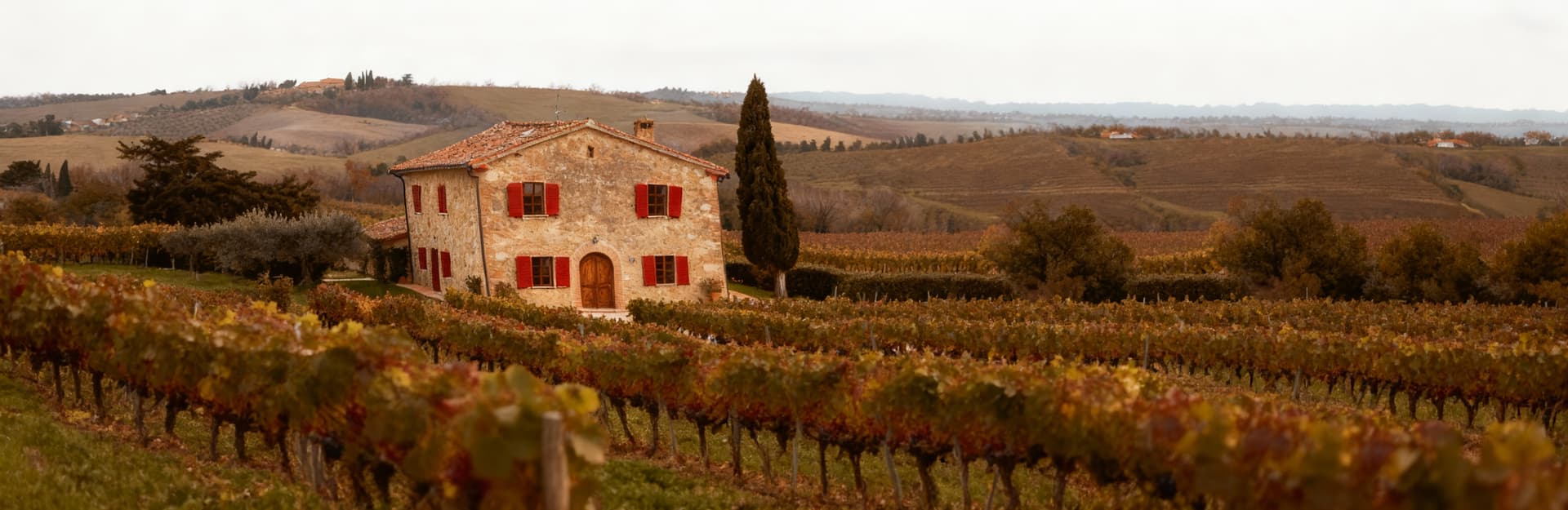 Luxury villas for sale in Versilia, Tuscany, showcasing stunning coastal views, elegant designs, and rich cultural heritage.