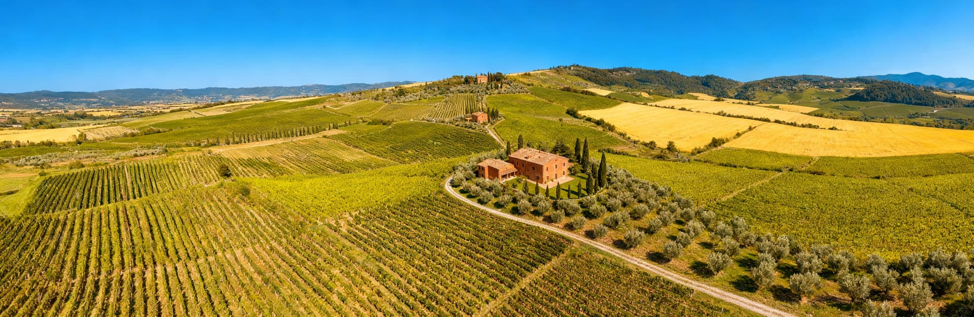 Scenic Tuscan landscapes in Chianti featuring vineyards, historic villas, and olive groves for sale, embodying traditional elegance.