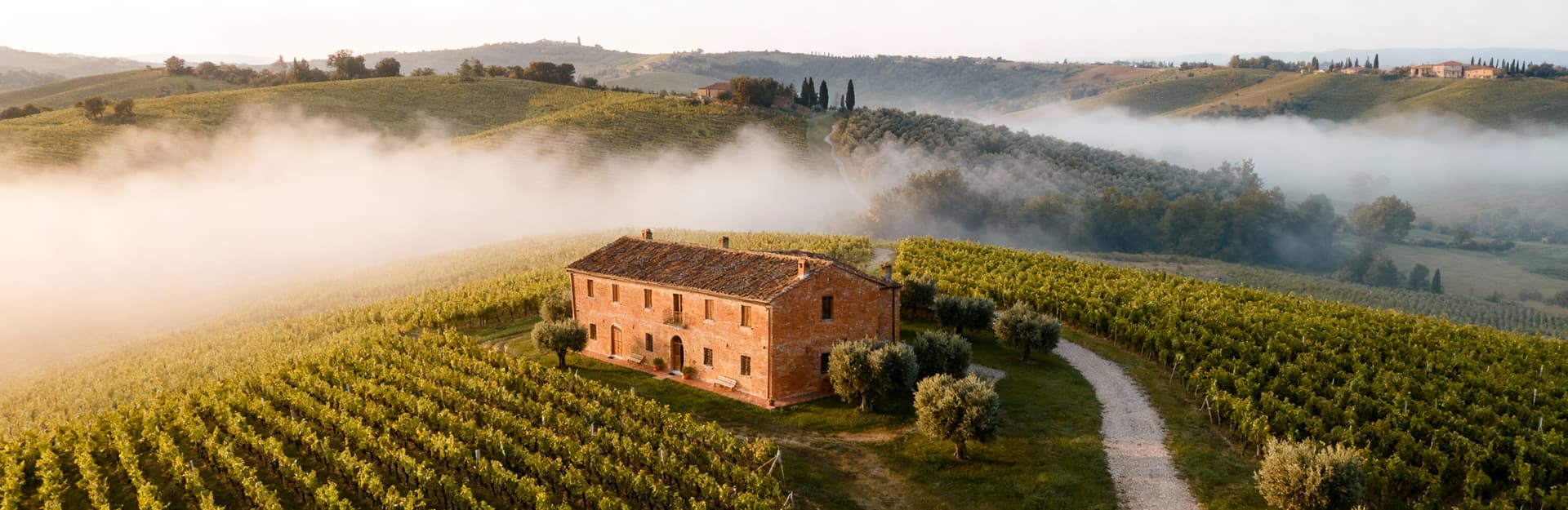 Stunning Tuscan landscape in Siena featuring historic hotels for sale amidst rolling hills and vineyards, ideal for investors.