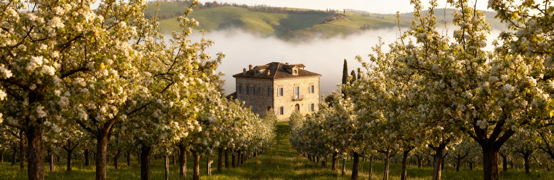 Countryside real estate for sale in Piacenza province, featuring luxury estates and charming rustic properties.