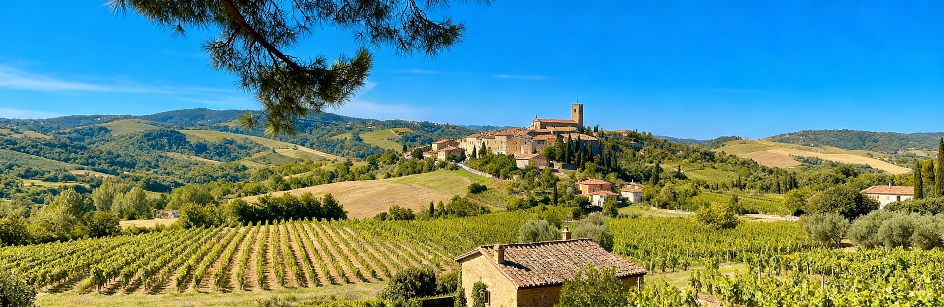 Charming hotels for sale in Umbria's Campagna, showcasing picturesque hills, vineyards, and historic villages.