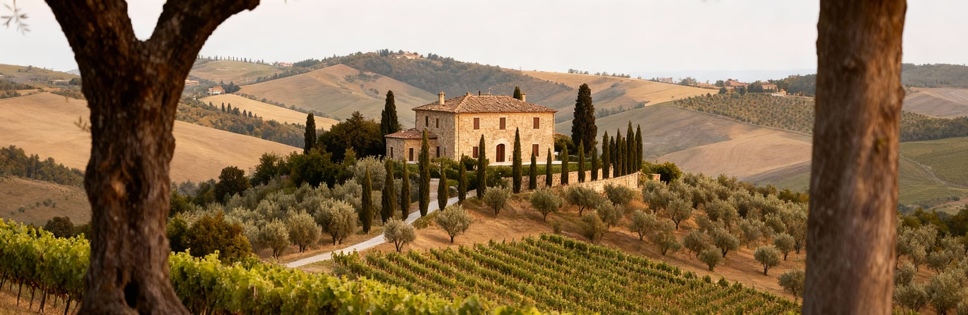 Elegant villas for sale in the picturesque countryside of Macerata, set against stunning hills and historic villages.