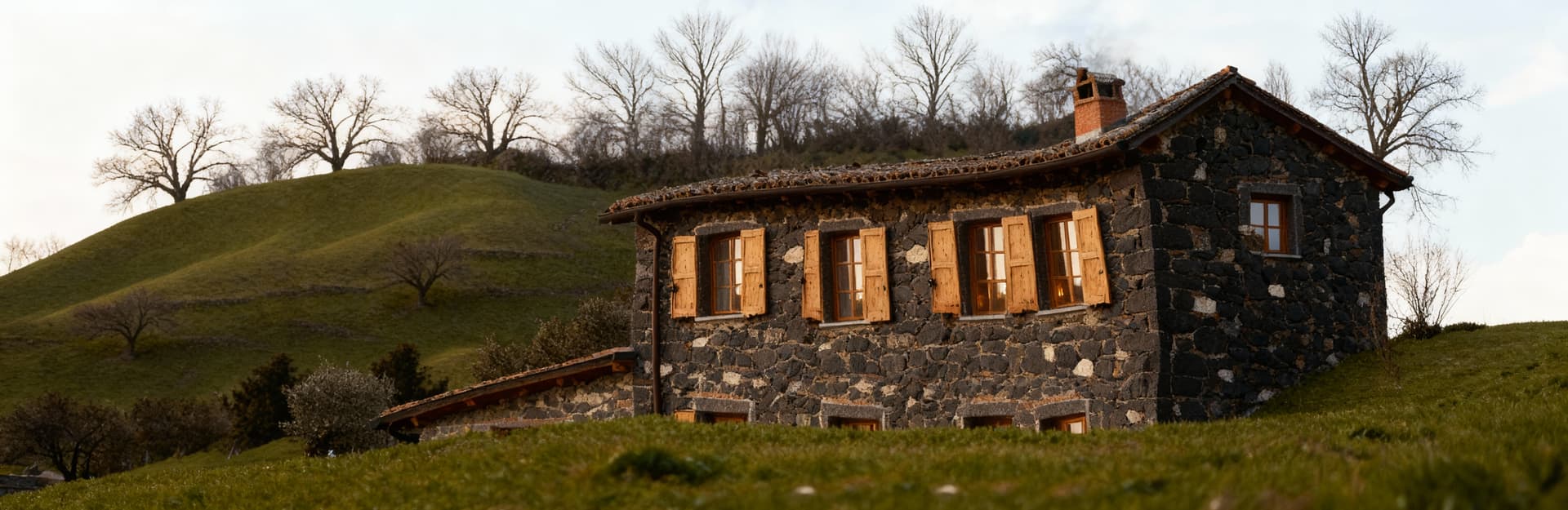 Rustic farmhouse for sale in Livorno's countryside, surrounded by olive groves and vineyards, offering a tranquil rural lifestyle.