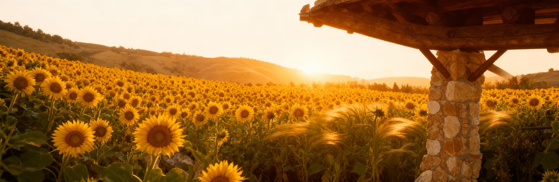 Charming Tuscan countryside with rolling hills, vineyards, and historical farms for sale in Chianti, an ideal investment opportunity.