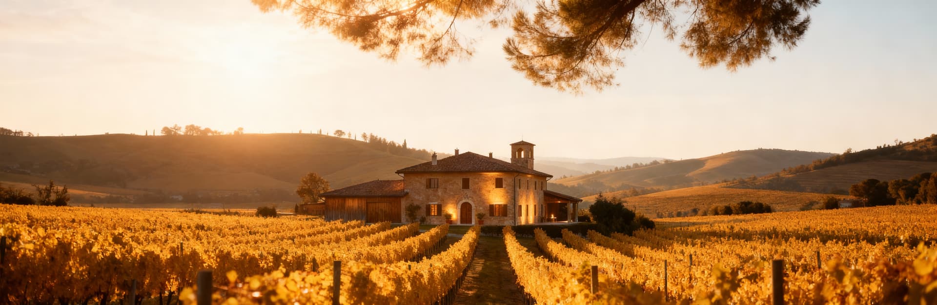 Rustic homes and farmhouses for sale in Modena, showcasing picturesque countryside, vineyards, and elegant architecture.