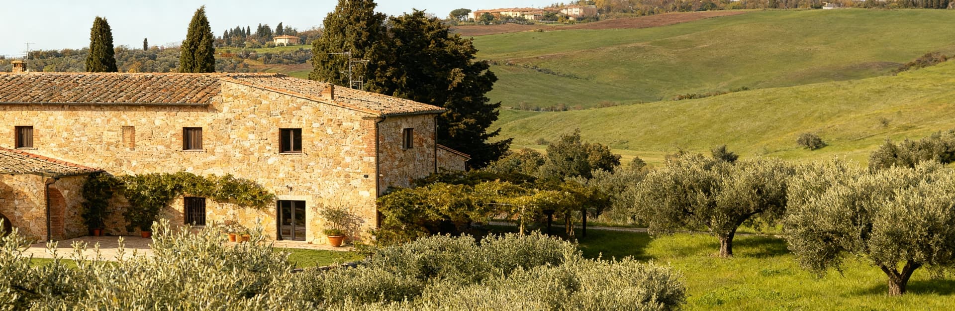 Tenuta agricola in vendita nelle Marche, con casale in pietra e uliveti, immersa in un paesaggio sereno e naturale.