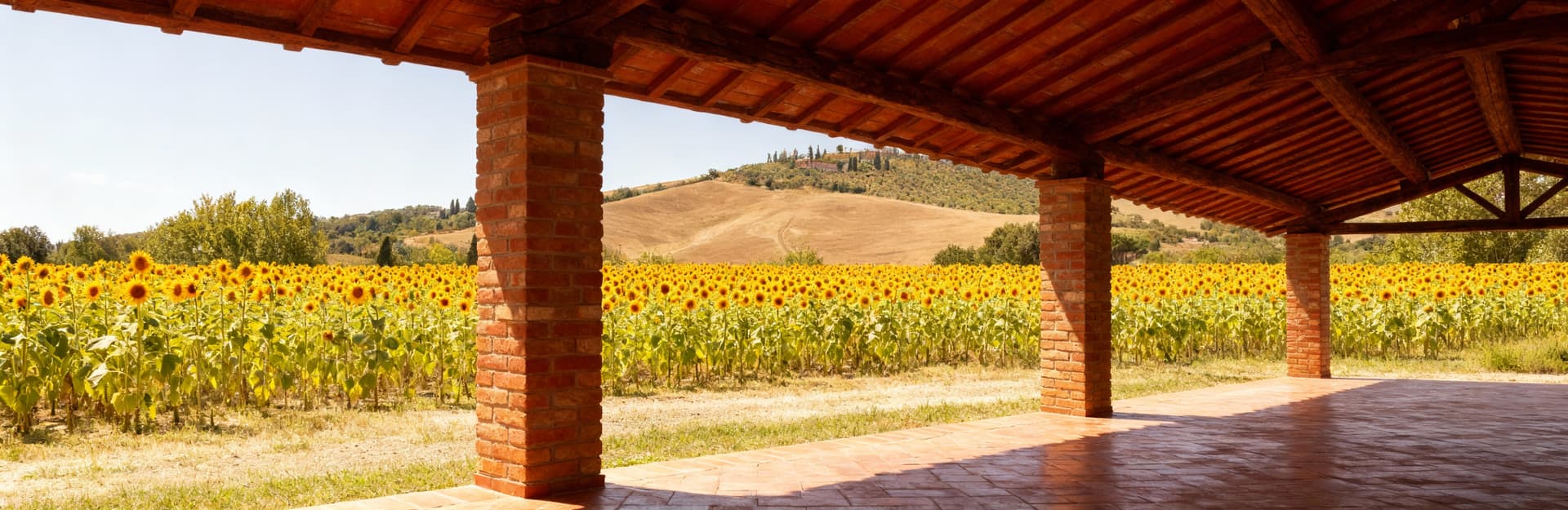 Rustic barns for sale in Tuscany, showcasing renovated country properties with modern comforts in stunning landscapes.