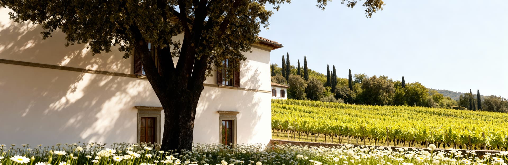 Luxury properties for sale by the sea in the Balearic Islands, featuring stunning views and pristine beaches.