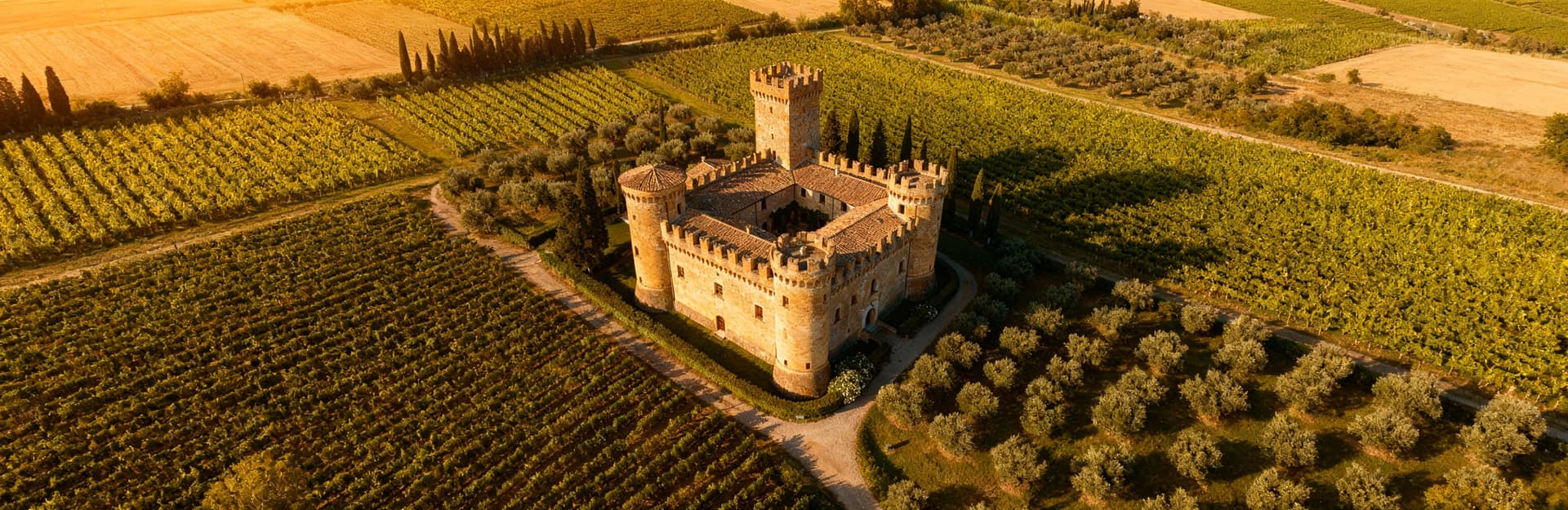 Antico castello medievale con torri e merlature immerso in un paesaggio di vigneti e oliveti, luce pomeridiana calda.