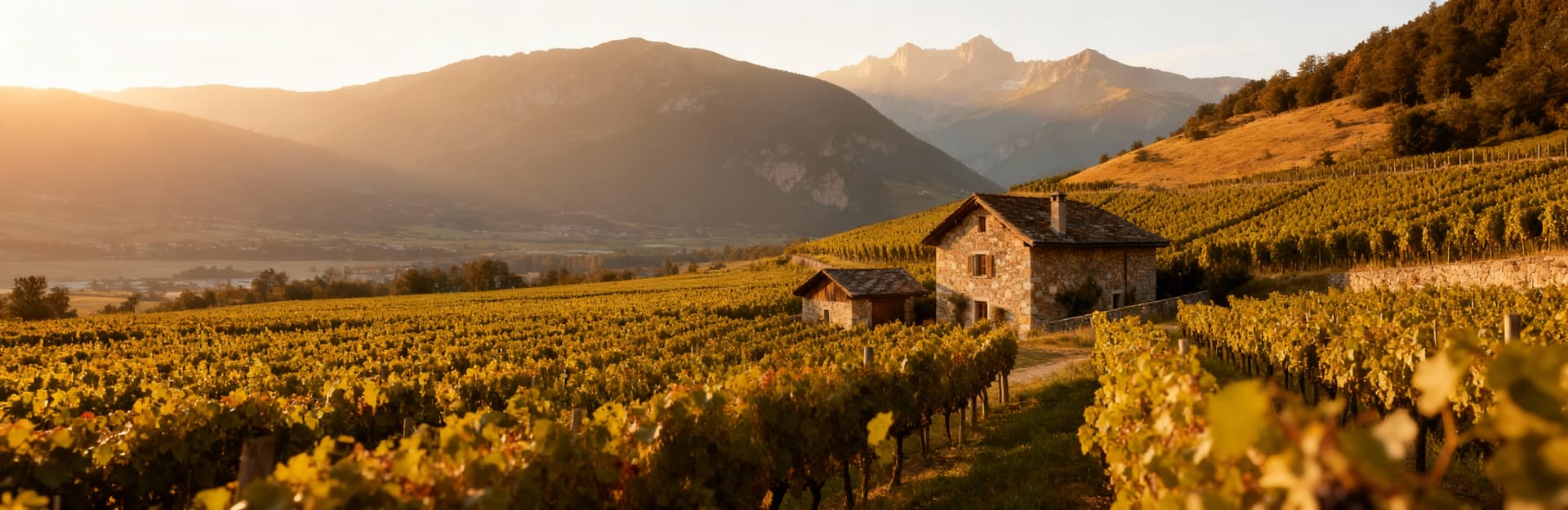 Luxury penthouses for sale in Turin, featuring stunning views of the city and Alps, with modern design and high-end finishes.