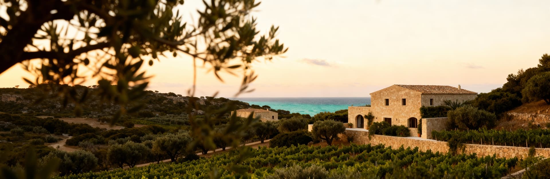 Rustic farmhouses for sale in Porto Cervo, Costa Smeralda, surrounded by vineyards, olive groves, and stunning coastline.