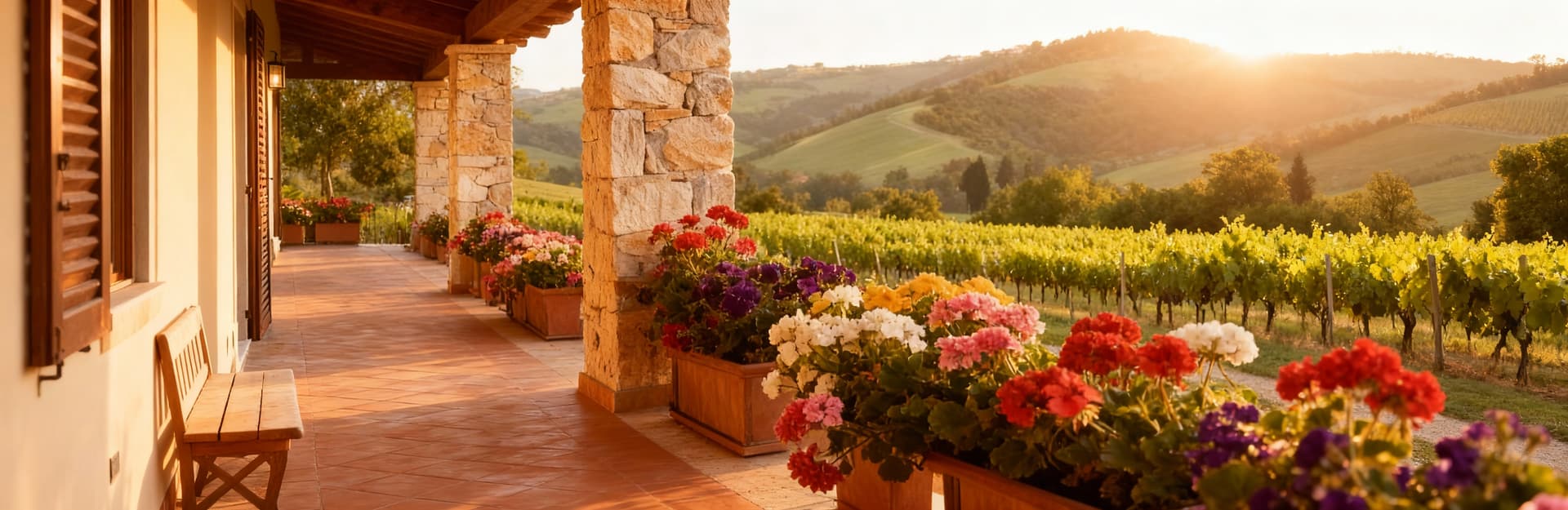 Case indipendenti in vendita alle Isole Eolie, circondate da colline verdi e vigneti, illuminate dalla luce del mattino.