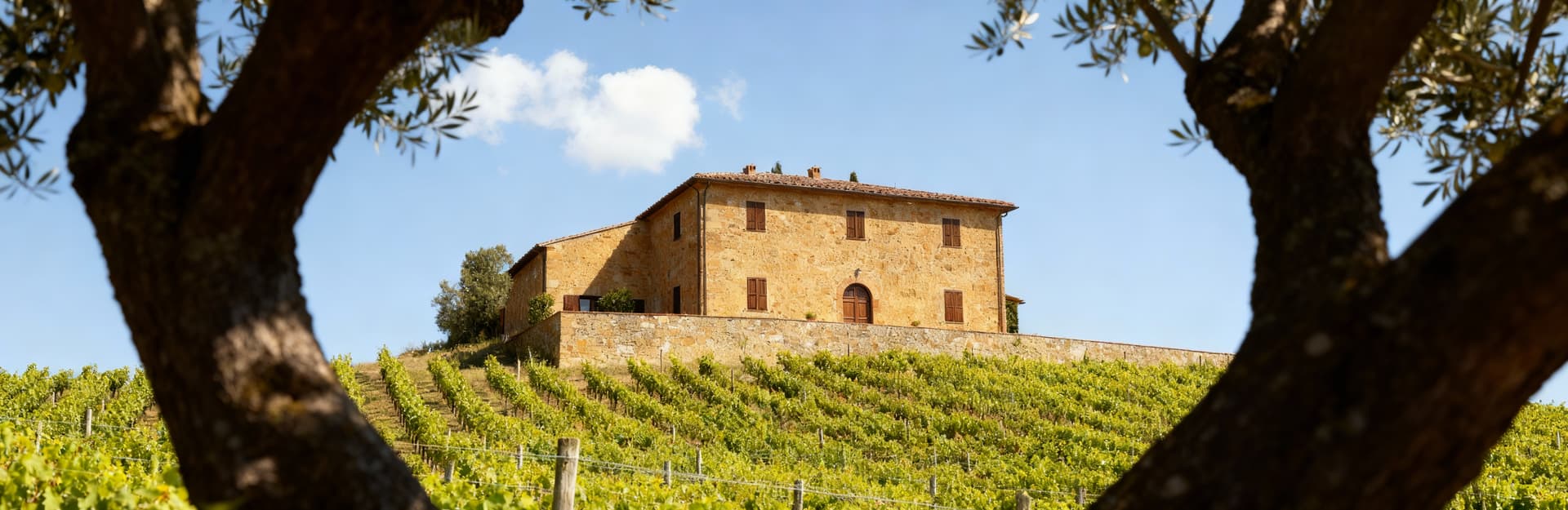 Elegant estates and properties for sale in Florence, offering premium residential and agricultural opportunities for exclusive projects.