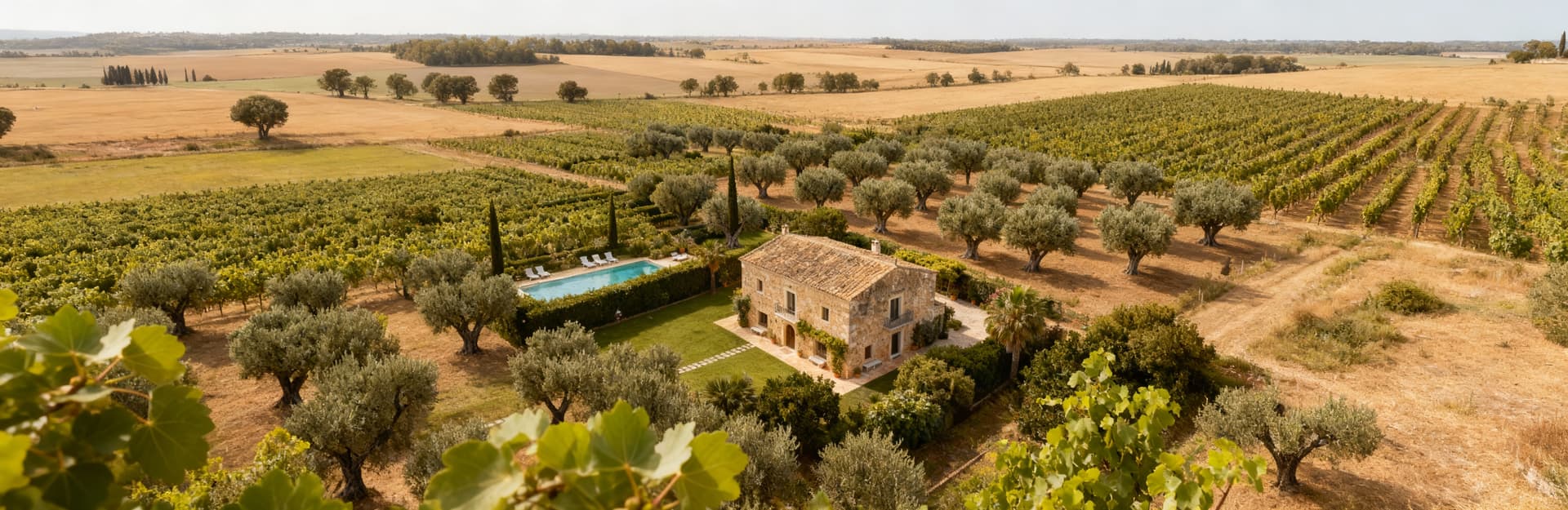 Exclusive countryside properties for sale in Sicily, featuring spacious land ideal for private homes or hospitality ventures.