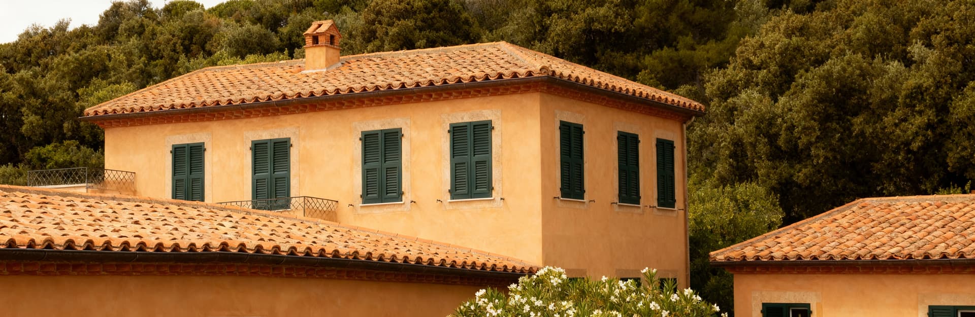 Elegant villa apartments for sale in the lush countryside of Elba Island, perfect for stylish rural living.