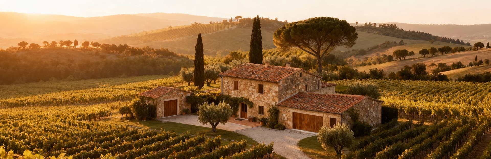 Stunning estates for sale in Pisa's countryside featuring vineyards, olive groves, and charming farmhouses for investment.