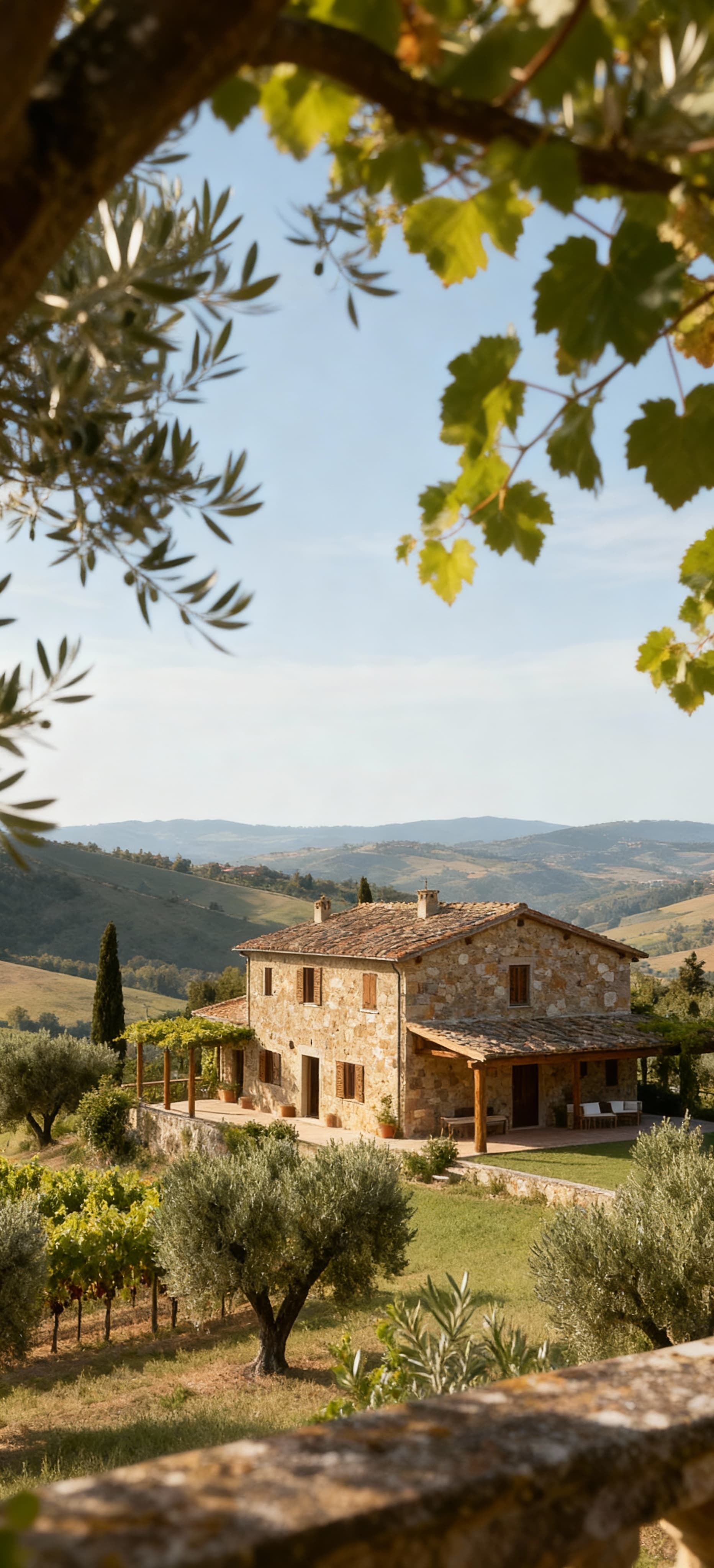 Charming farmhouses for sale, surrounded by greenery, offering rural hospitality and essential comforts in a natural setting.