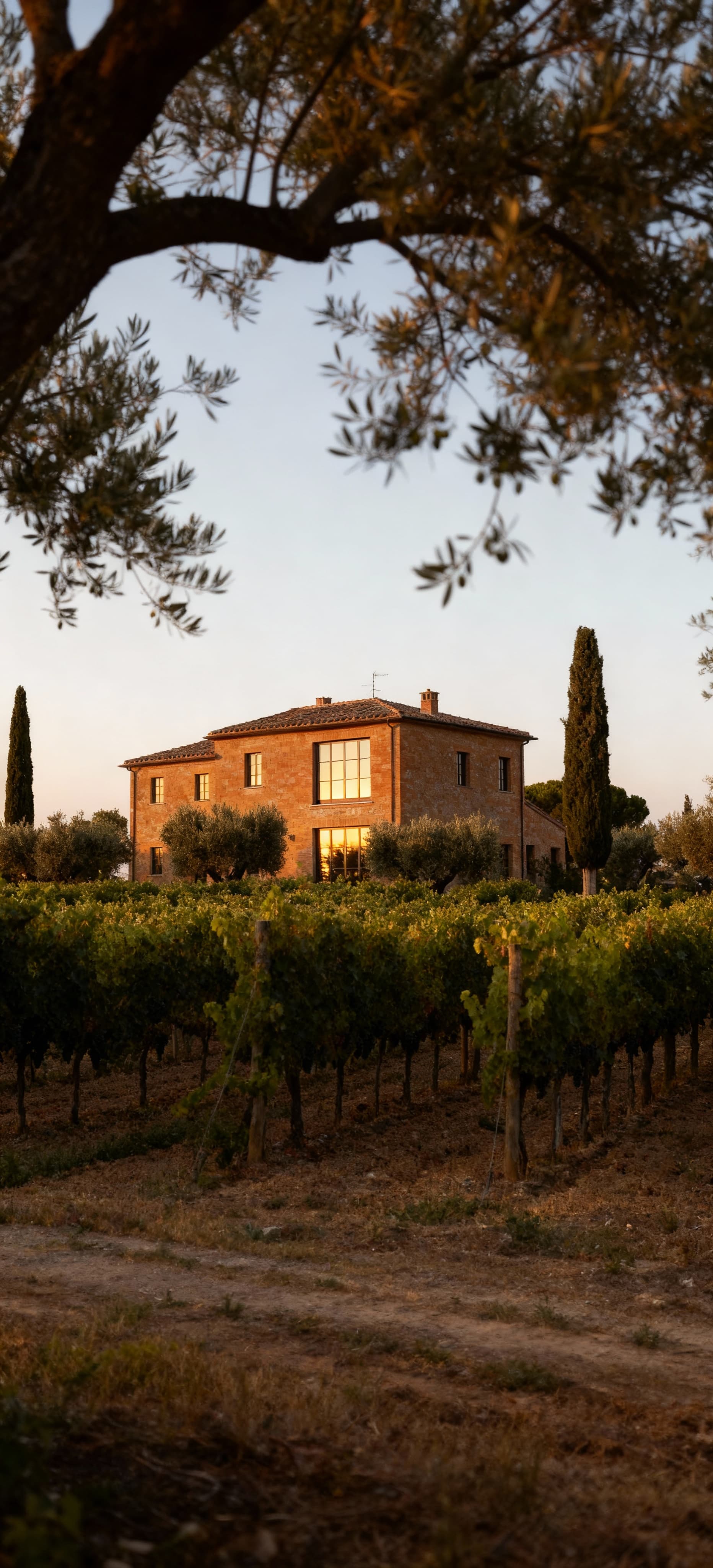 Rustic farmhouses for sale in Pisa province, surrounded by picturesque landscapes and rich agricultural heritage.