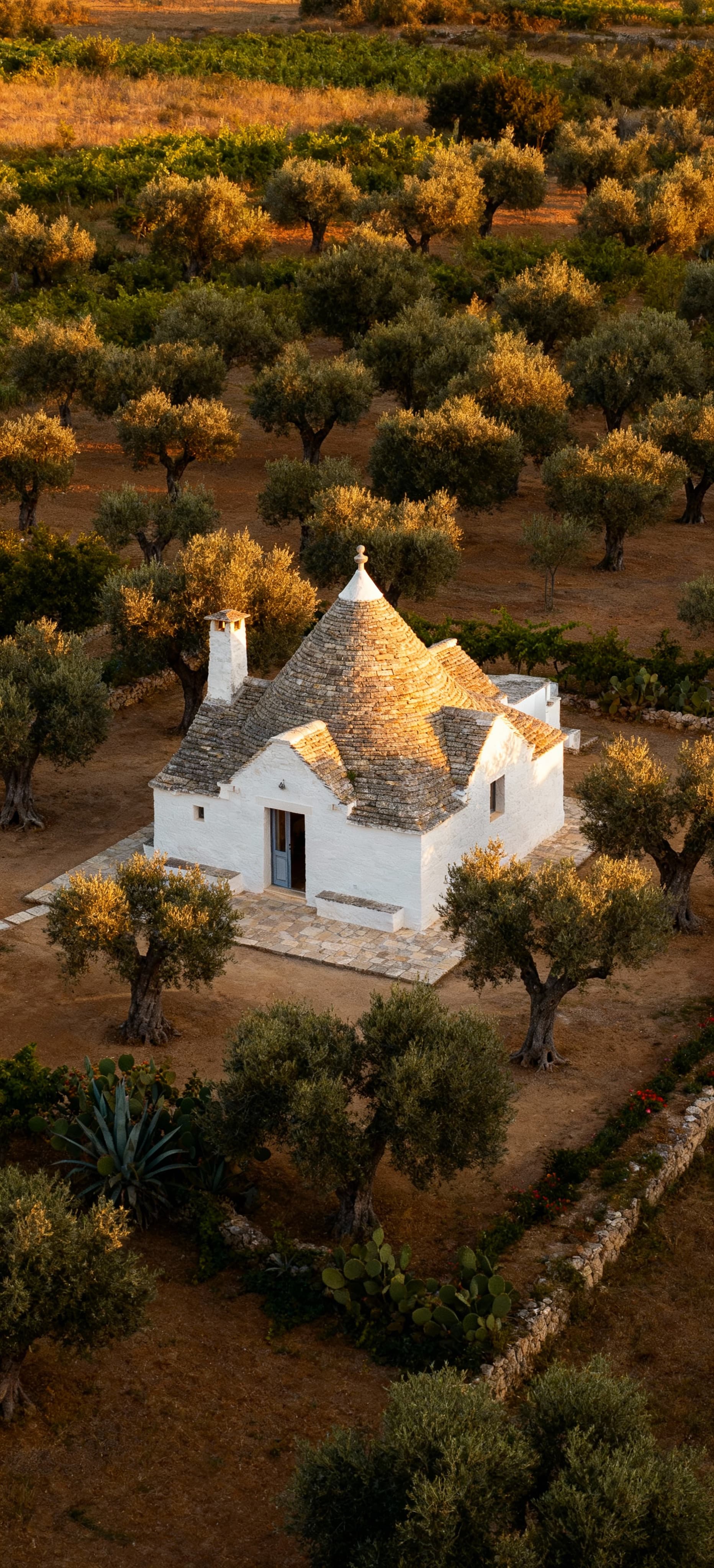 Luxury villas for sale in Bari province, overlooking the Adriatic Sea, surrounded by historic charm and authentic local flavors.