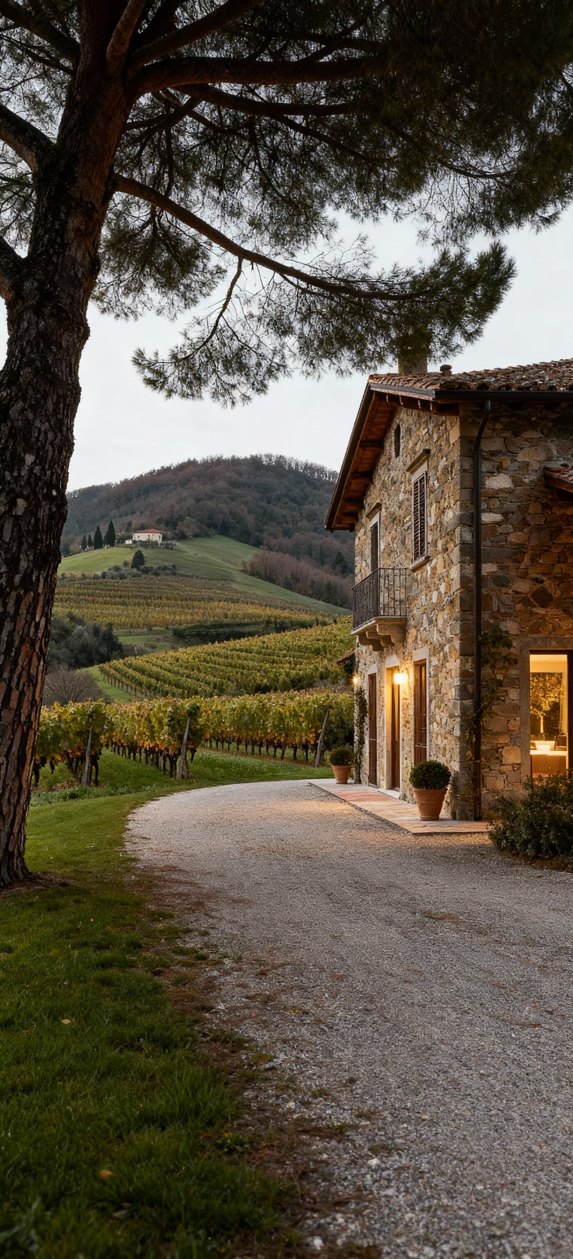 Charming rural properties for sale in Lucca province, surrounded by historic villas, vineyards, and lush countryside.