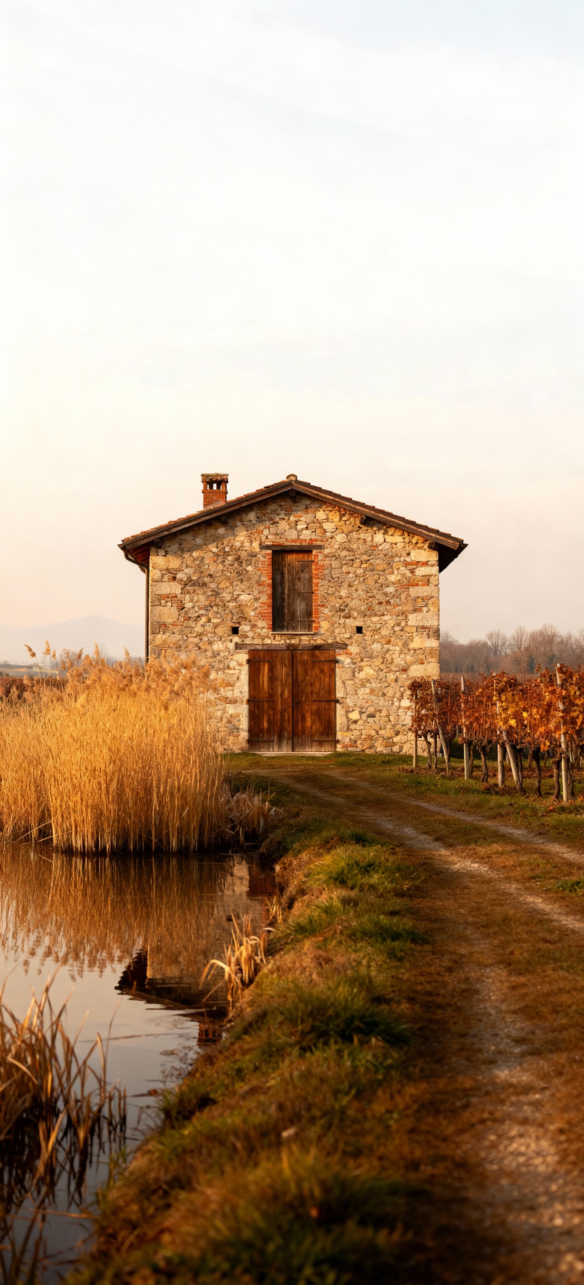Countryside properties for sale in Novara, featuring historic farmhouses amidst rice paddies and vineyards.