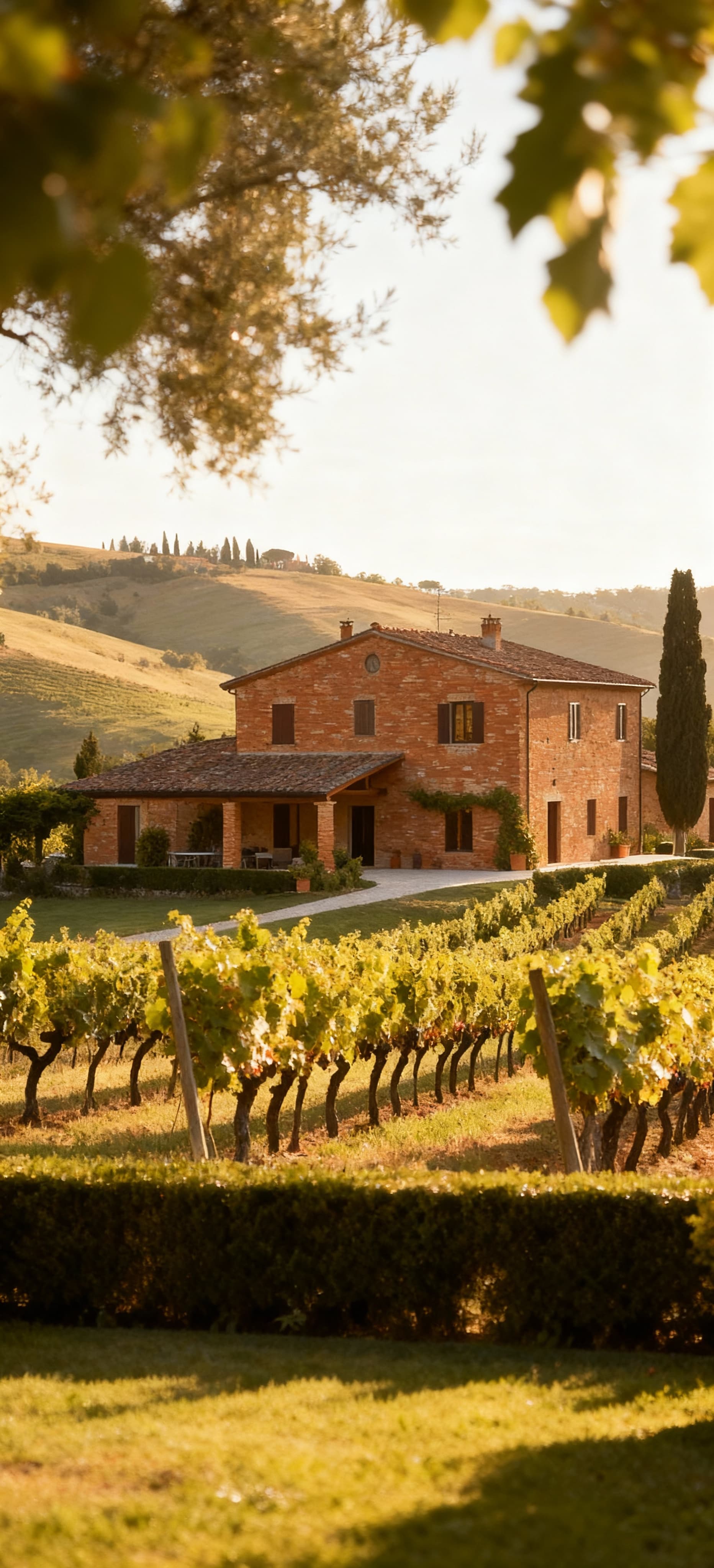 Charming country properties for sale in Vicenza province, surrounded by hills and vineyards, blending nature and urban comforts.