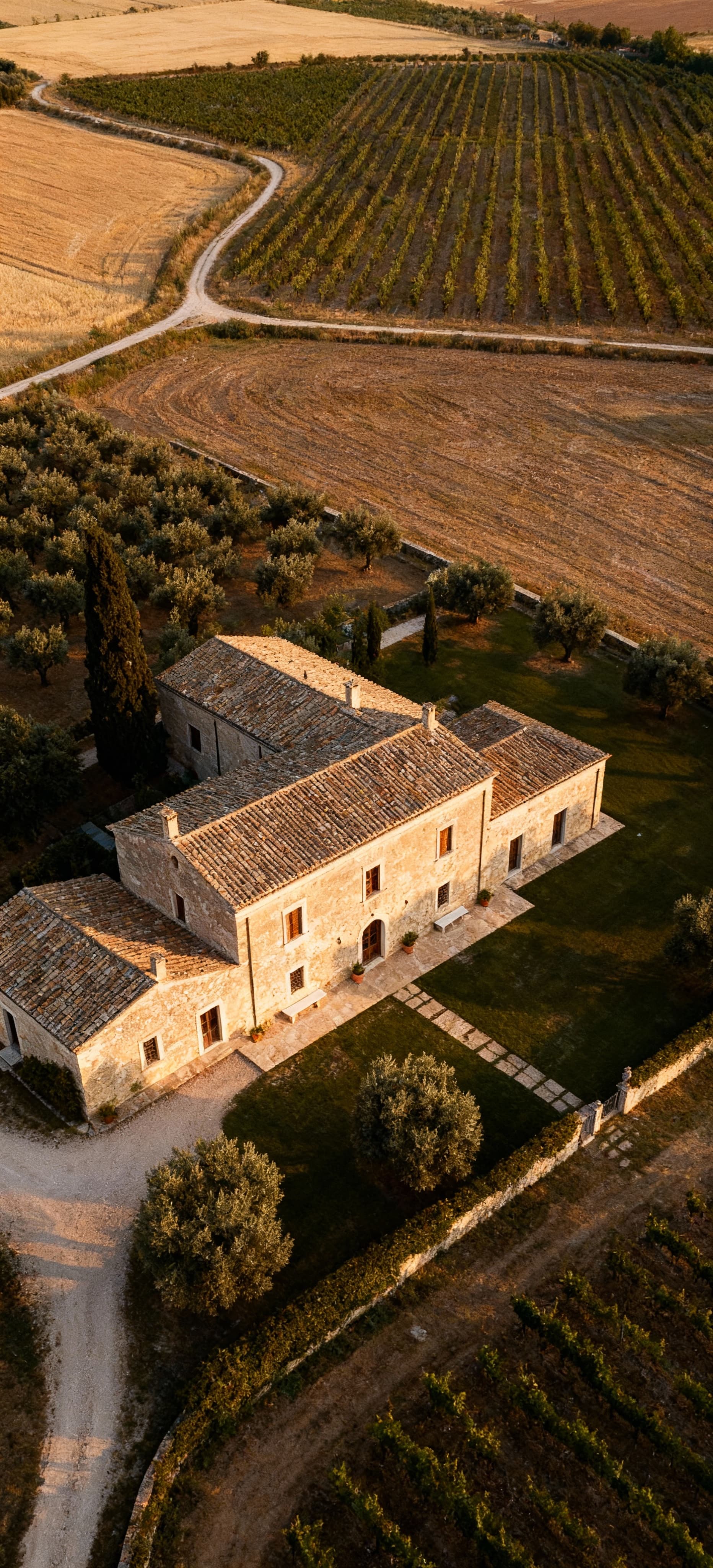 Countryside properties for sale in Taranto province, showcasing historic farmhouses, olive groves, and vineyards.