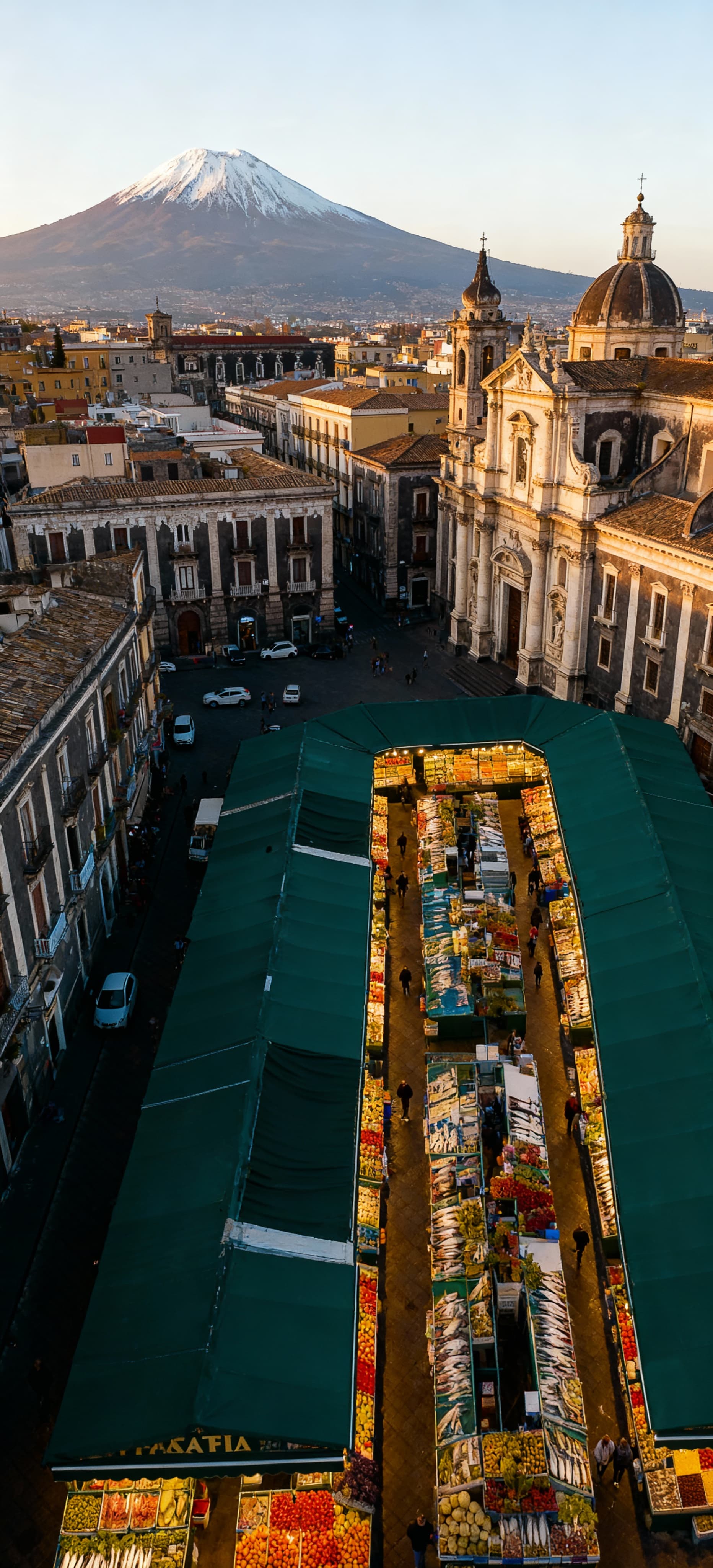 City properties for sale in Catania, featuring vibrant baroque architecture and the stunning backdrop of Mount Etna.
