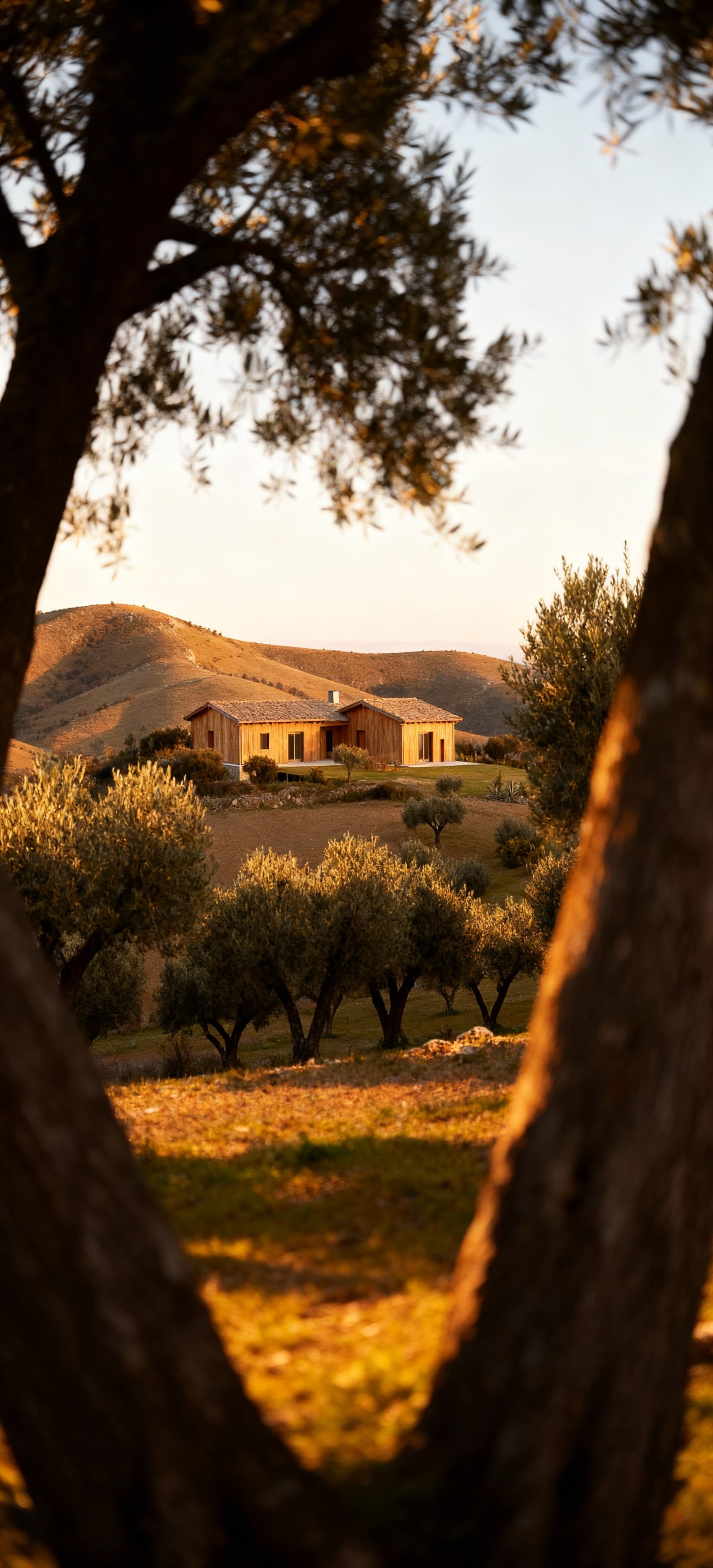 Luxury properties for sale in Taranto, Puglia, featuring stunning landscapes, historic homes, and modern villas with pools.