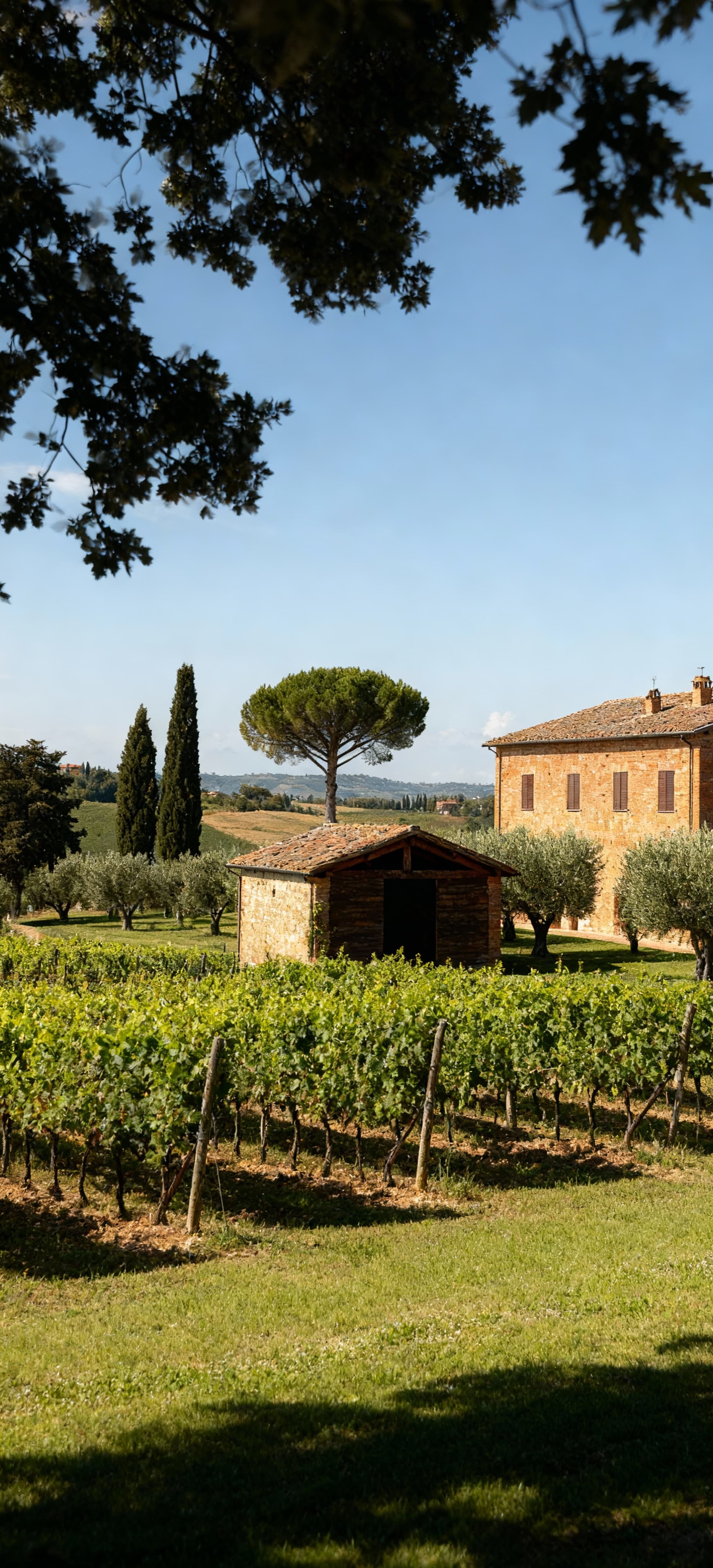 Luxury apartments for sale in Siena's historic city center, showcasing stunning architecture and beautiful Tuscan landscapes.