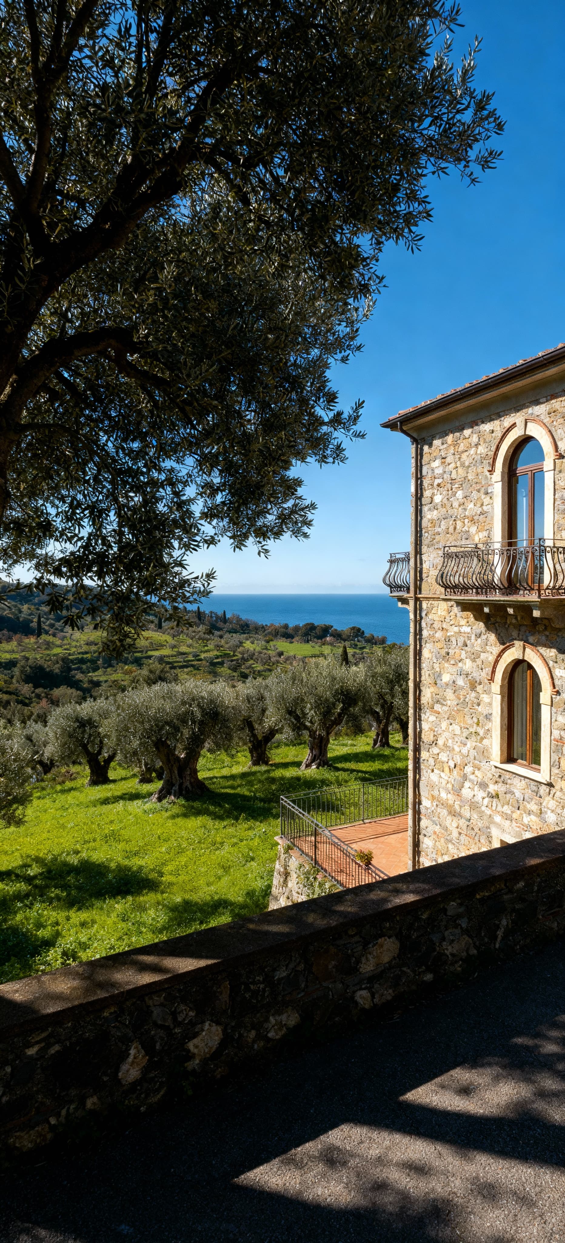 Stunning countryside villas for sale in Imperia, Liguria, surrounded by olive groves and breathtaking coastal views.