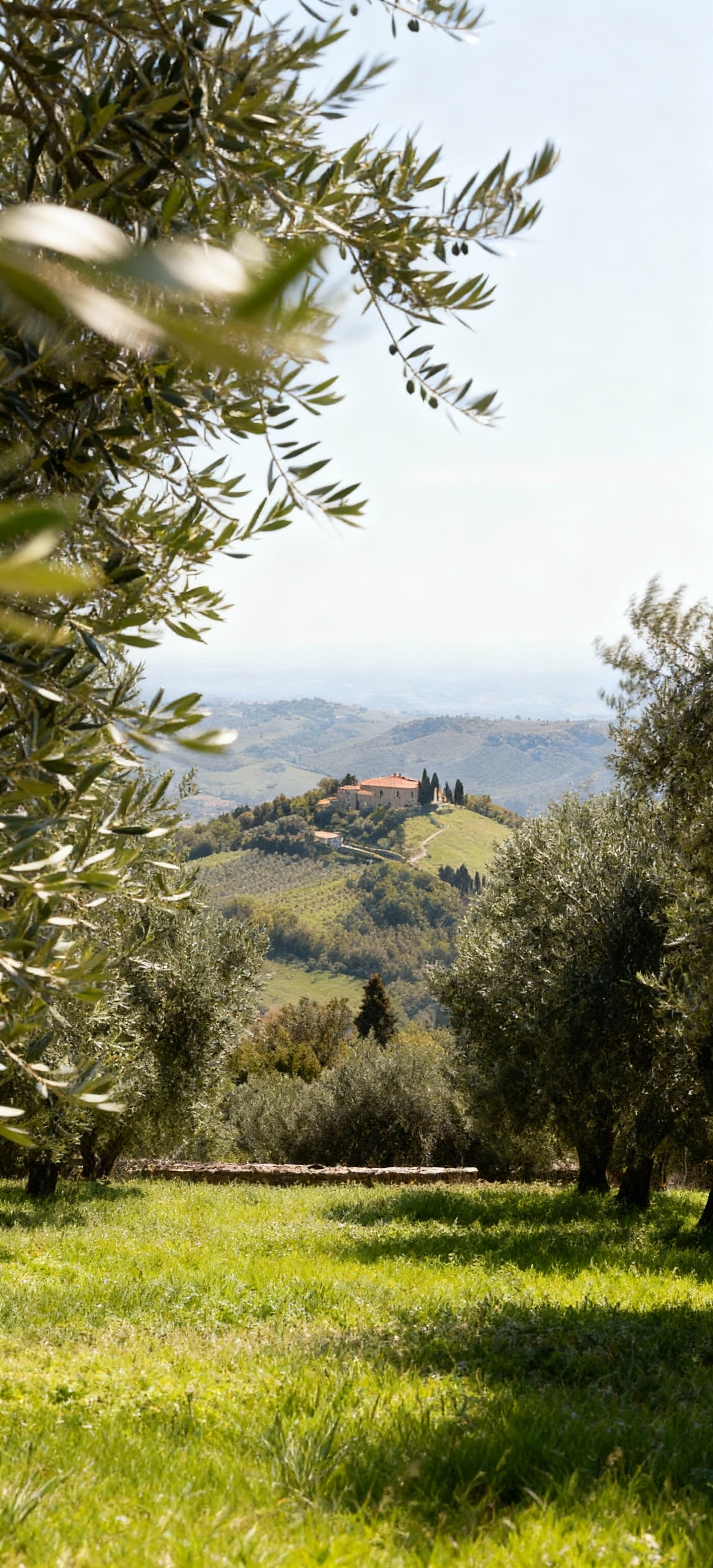 Luxury apartments for sale in Siracusa, Sicily, overlooking the stunning coastline and rich cultural heritage.