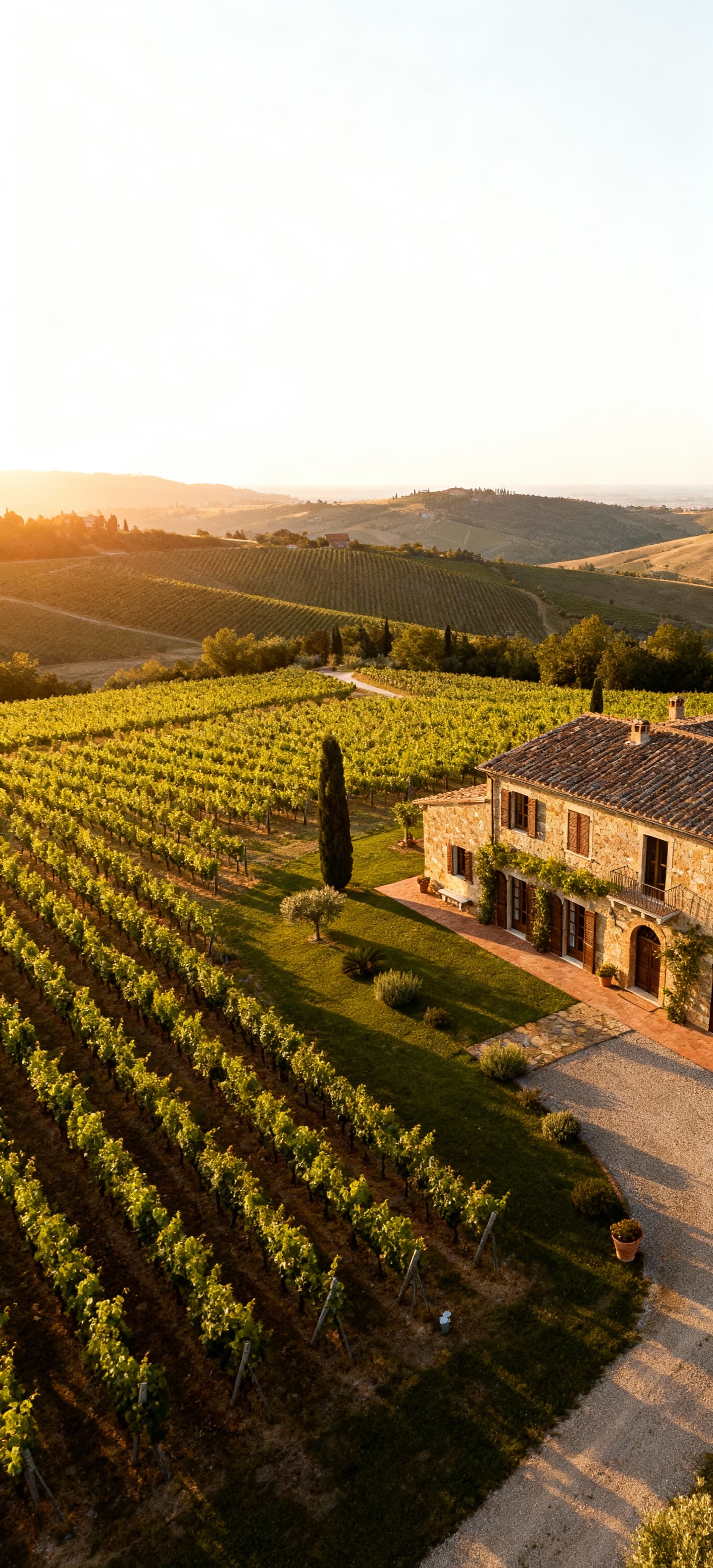 Luxury villas for sale in Tuscany's Chianti region, surrounded by vineyards and picturesque hills, offering serene living.