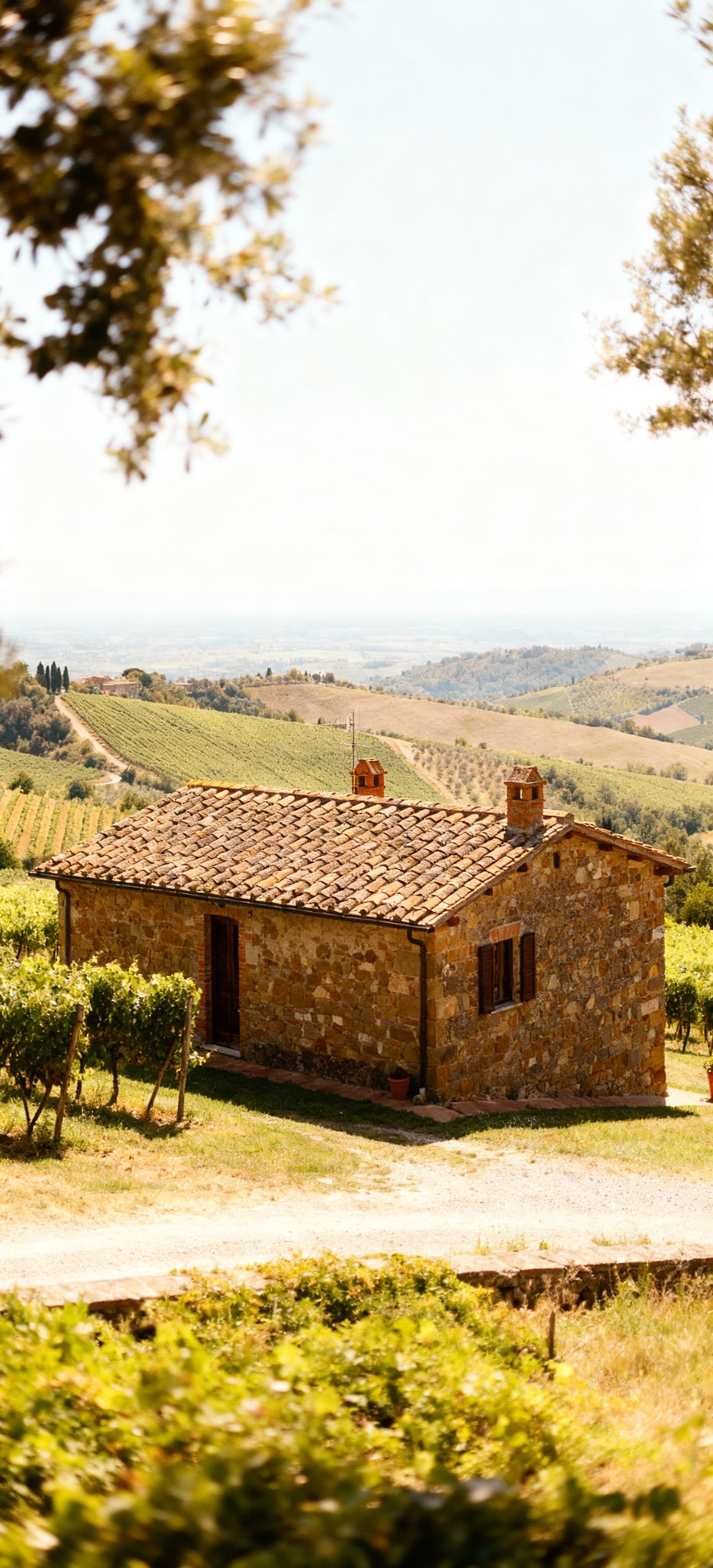 Charming rustic homes for sale in the scenic Tuscany countryside near Florence, featuring stunning views and rich cultural heritage.