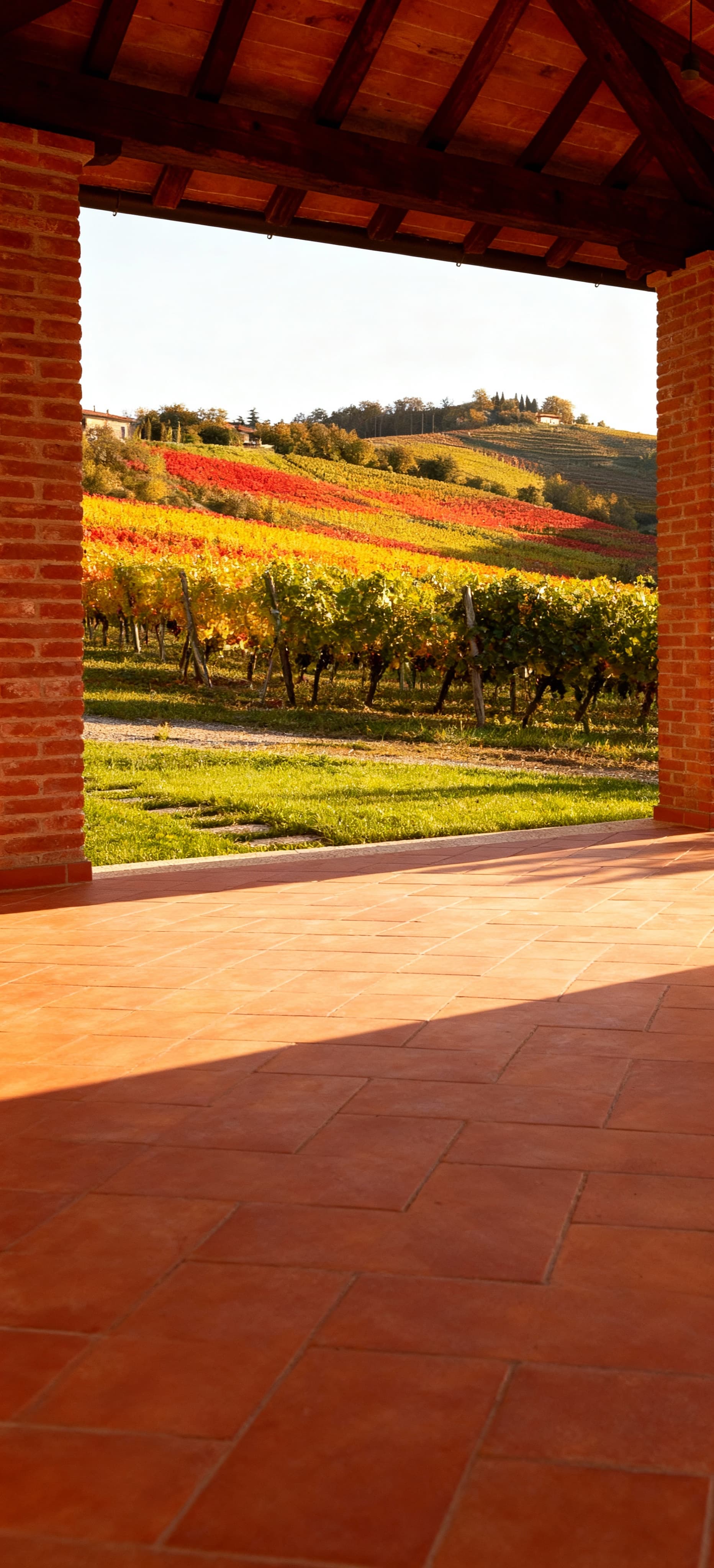 Arezzo countryside showcasing charming agriturismos for sale, surrounded by vineyards and historic architecture in Tuscany.