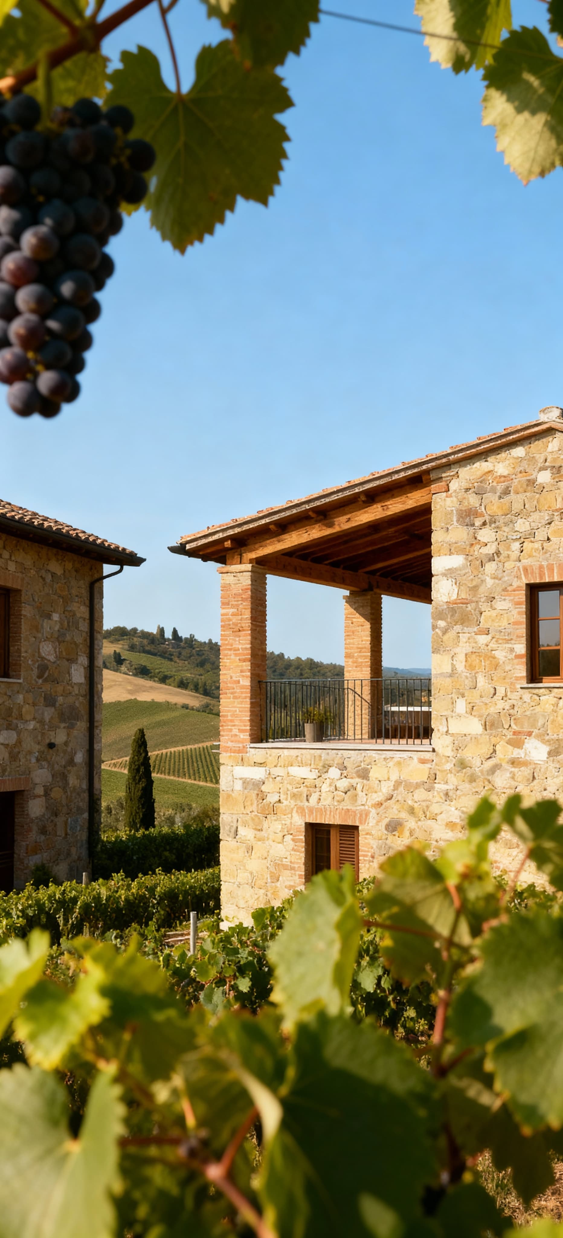 Scorcio di appartamento in vendita a Savona, immerso nei vigneti del Chianti con cielo blu e dettagli autentici.