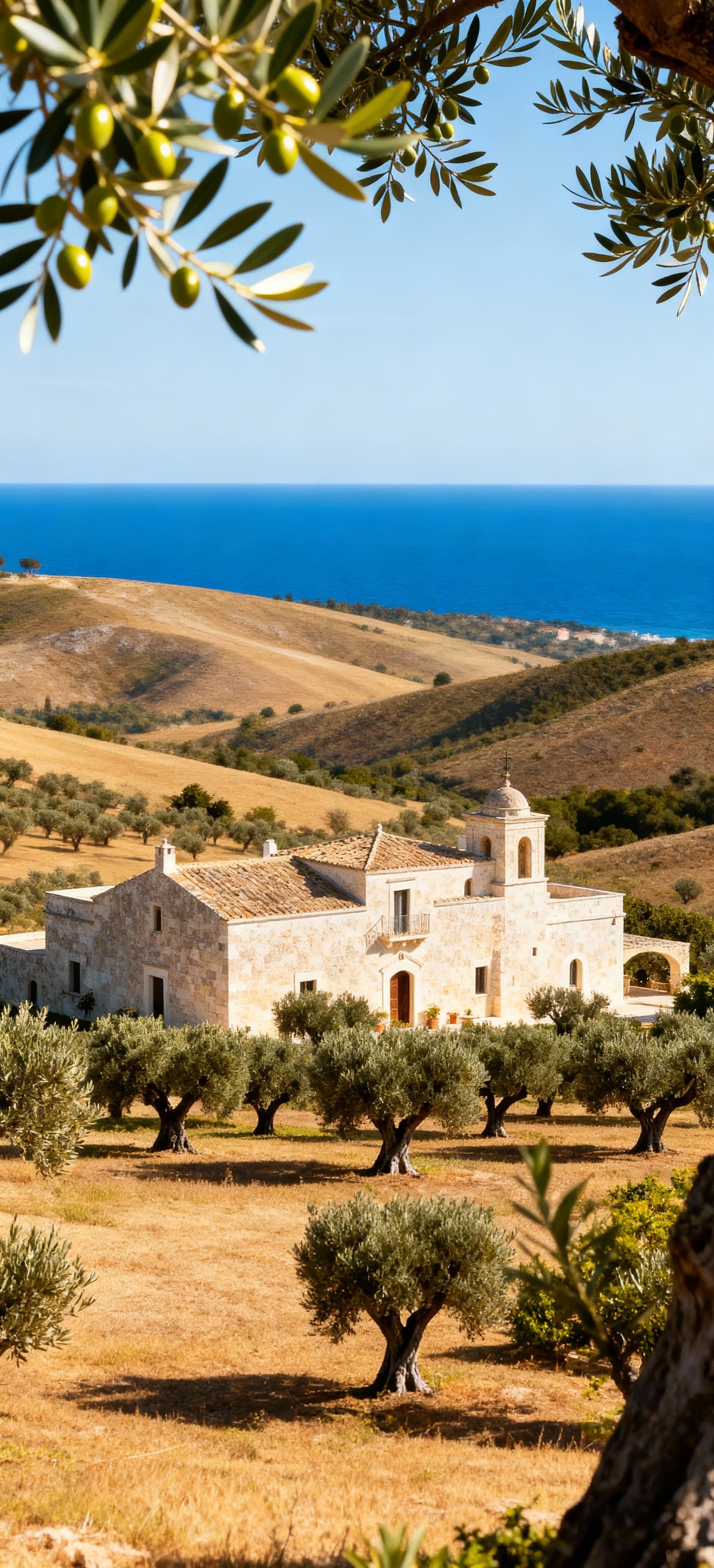 Stunning Brindisi landscapes featuring agricultural plots for sale, ancient olive groves, and elegant villas amidst rich culture.