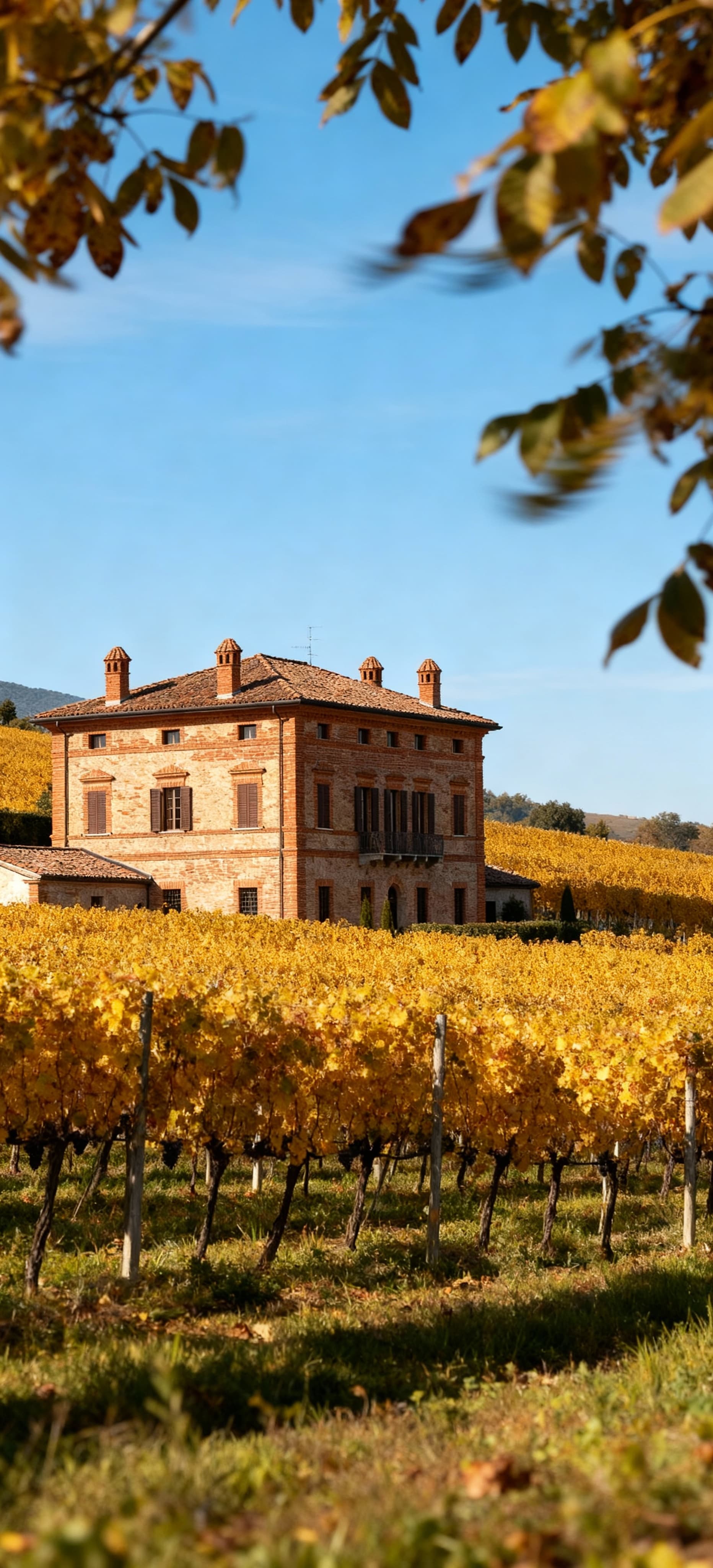 Casale storico nel Monferrato astigiano, circondato da vigneti dorati e sotto un cielo blu sereno.