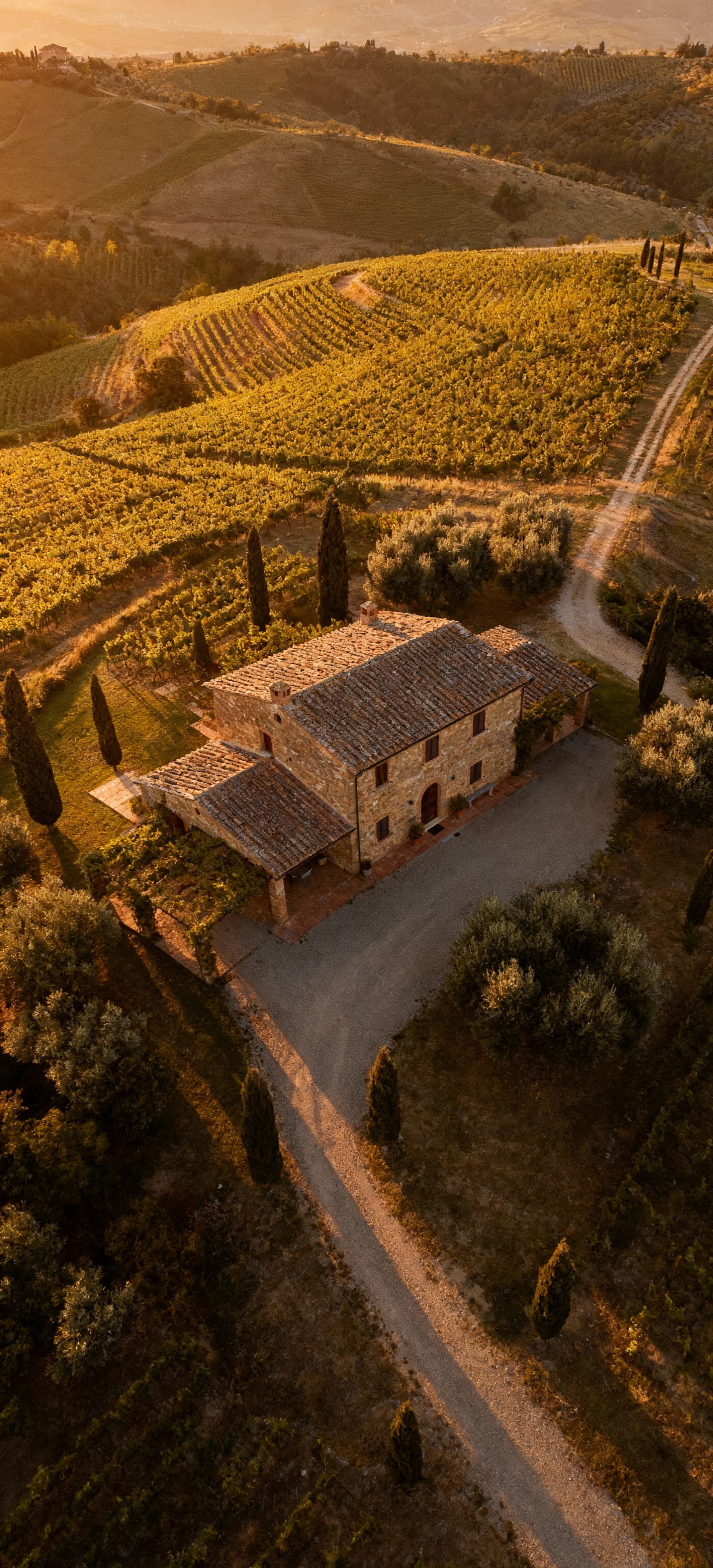 Charming Tuscan agritourism properties for sale in Arezzo, blending stunning landscapes with rich historical heritage.