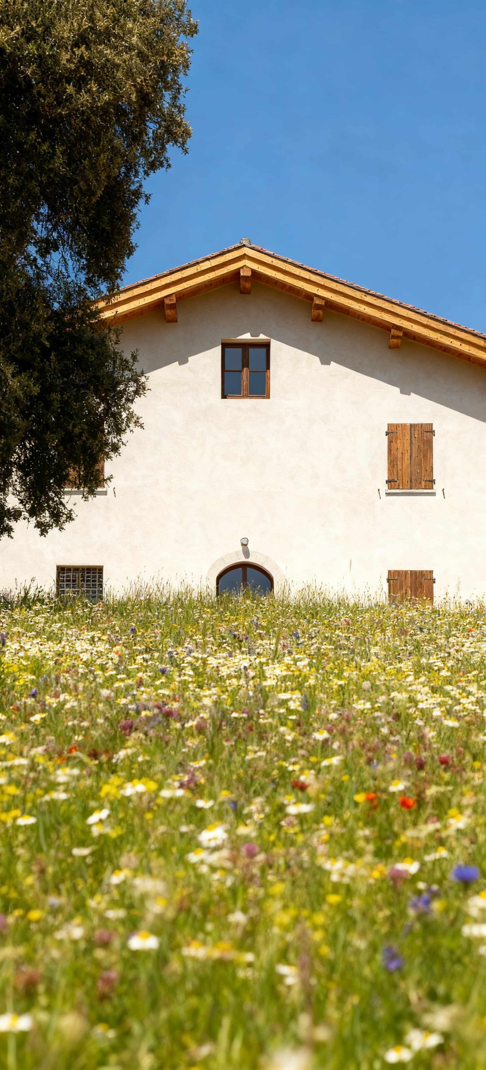 Charming rustic homes for sale in Alessandria's countryside, surrounded by hills, vineyards, and rich cultural heritage.