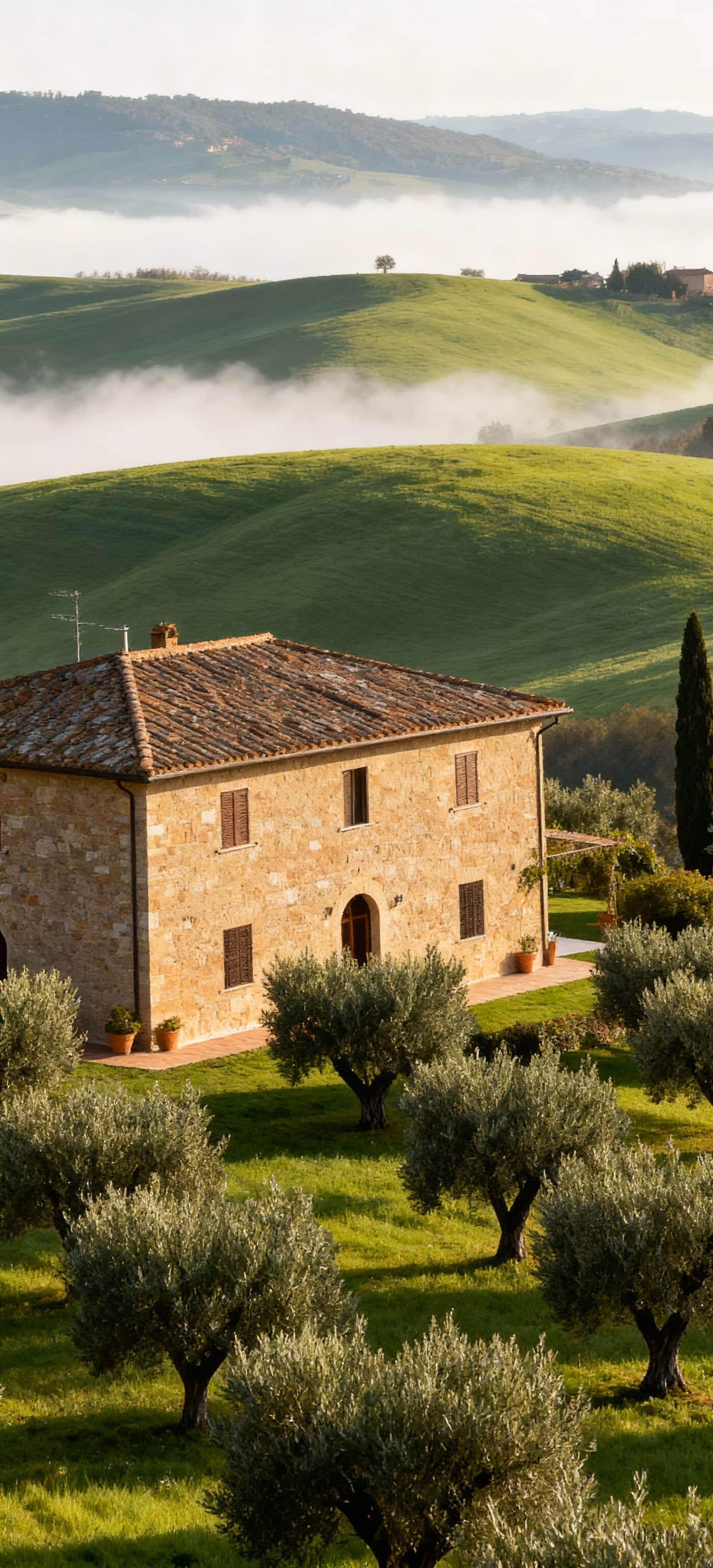Casale in vendita a Versilia, circondato da uliveti e colline verdeggianti avvolte da una leggera nebbia mattutina.
