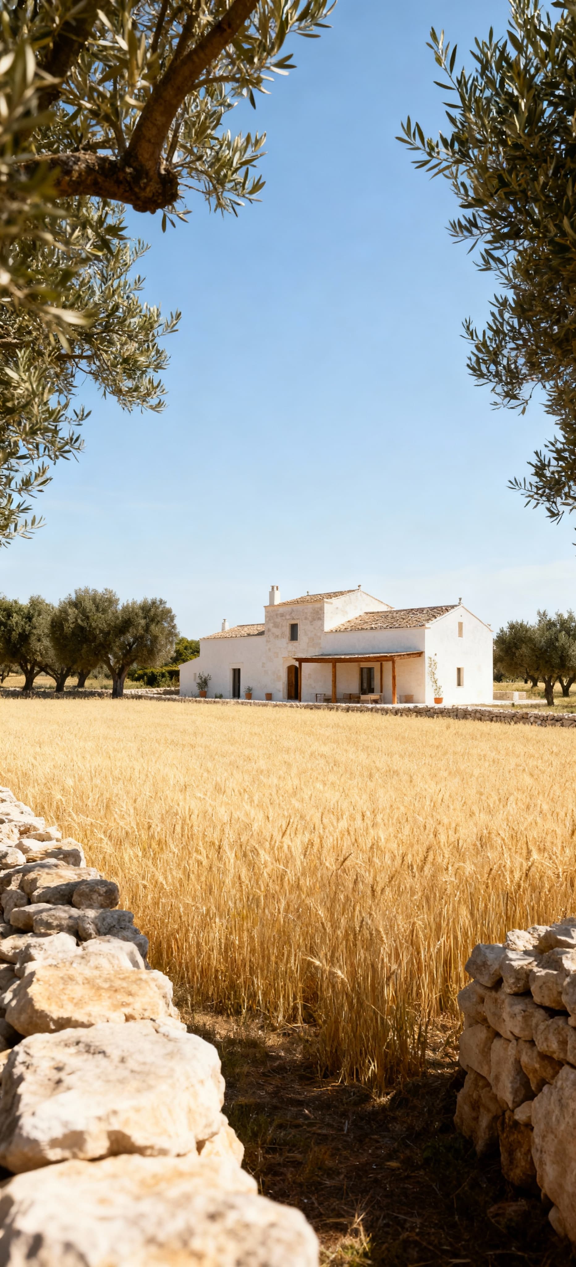 Agricultural estates for sale in Puglia, Brindisi, featuring olive groves, vineyards, and historic properties near the Adriatic Sea.