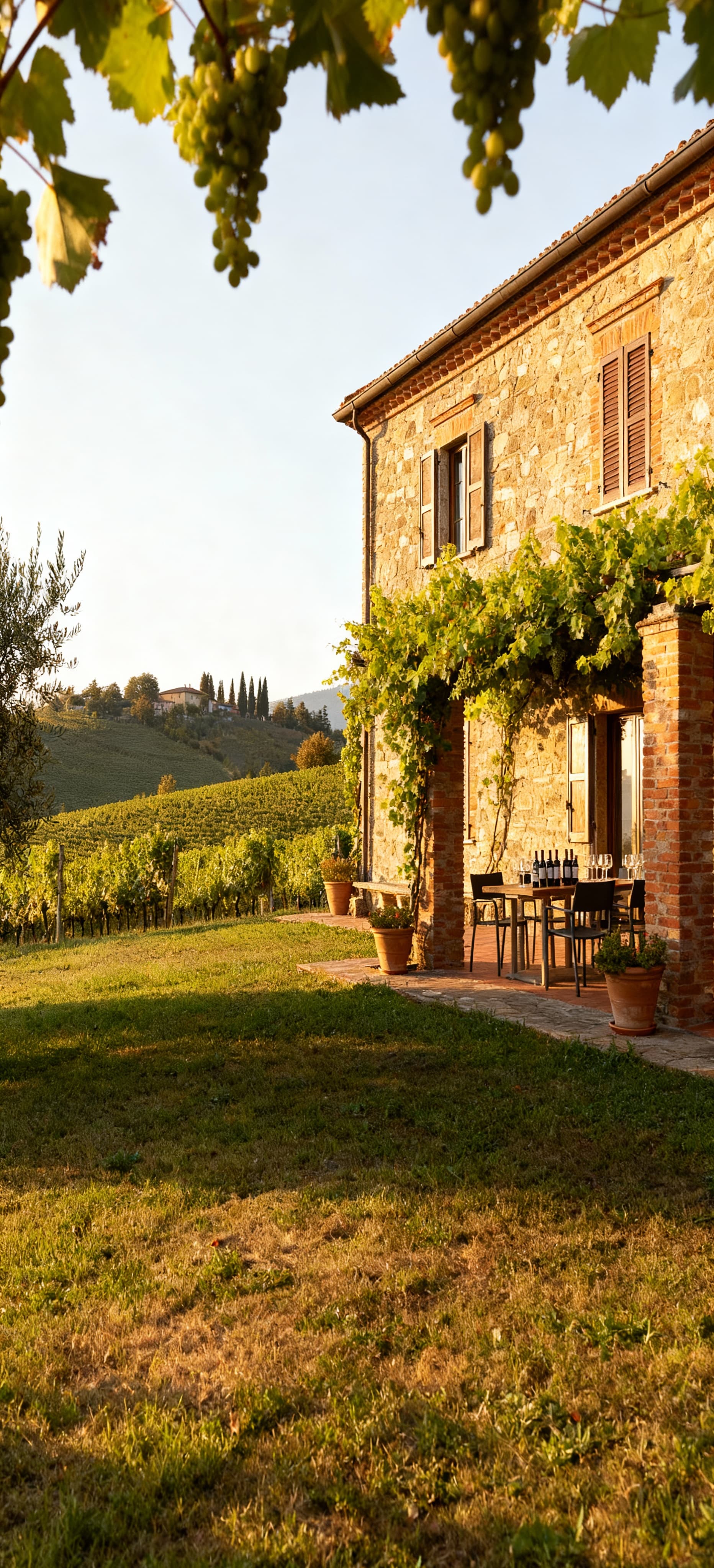Charming rustic homes for sale in Asti, Piedmont, amidst picturesque vineyards and rolling hills, perfect for authentic living.